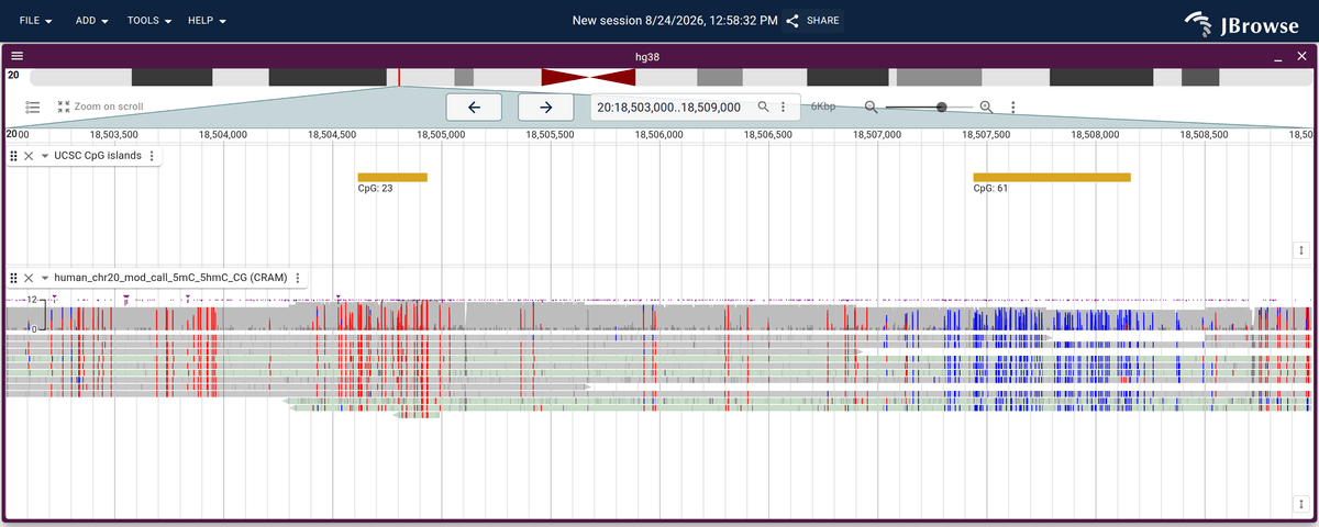 Nanopore methylation coloring