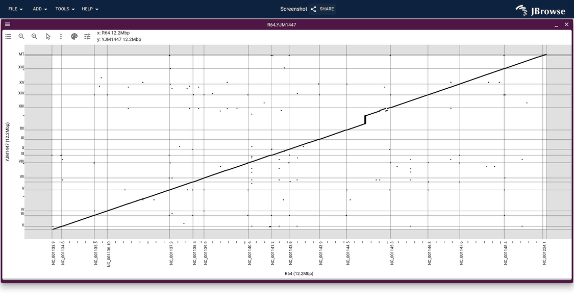 Whole-genome dotplot