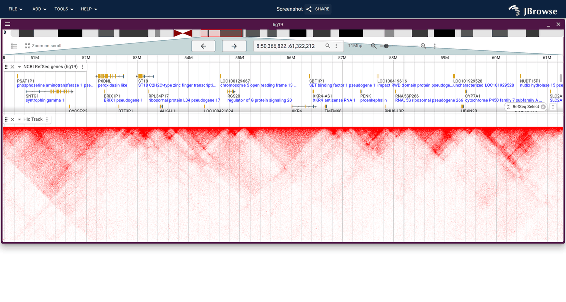 Hi-C contact matrix