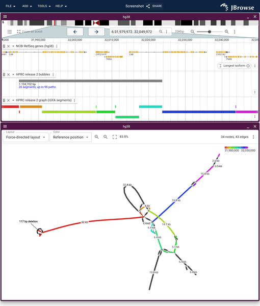 HPRC pangenome locus as a graph