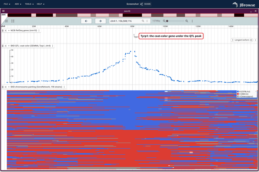 BXD QTL with haplotype painting