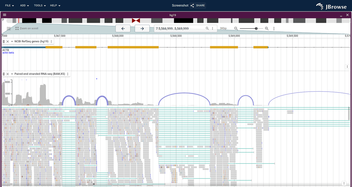 RNA-seq splice junctions