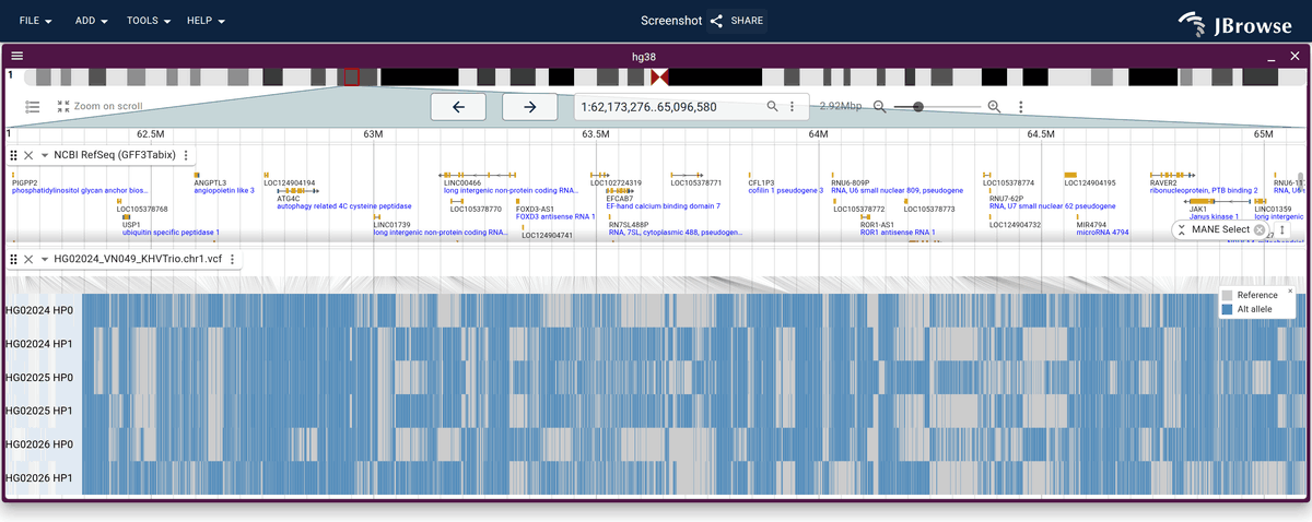 1000 Genomes phased trio matrix