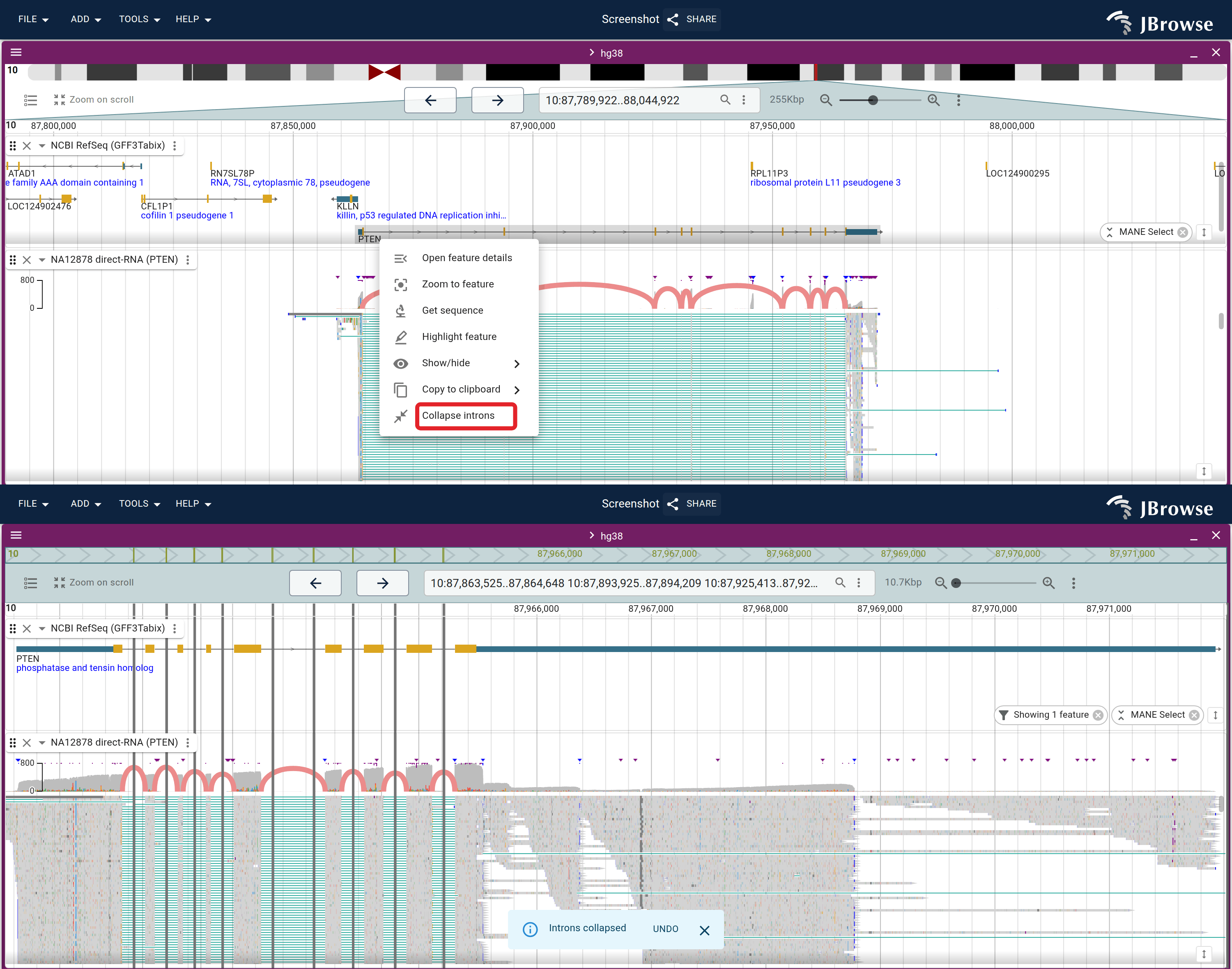 Collapsing introns on PTEN (hg38). Top: the right-click menu. Bottom: the reshaped view with the exons side by side, where the direct-RNA nanopore track's sashimi arcs now span between adjacent exons.
