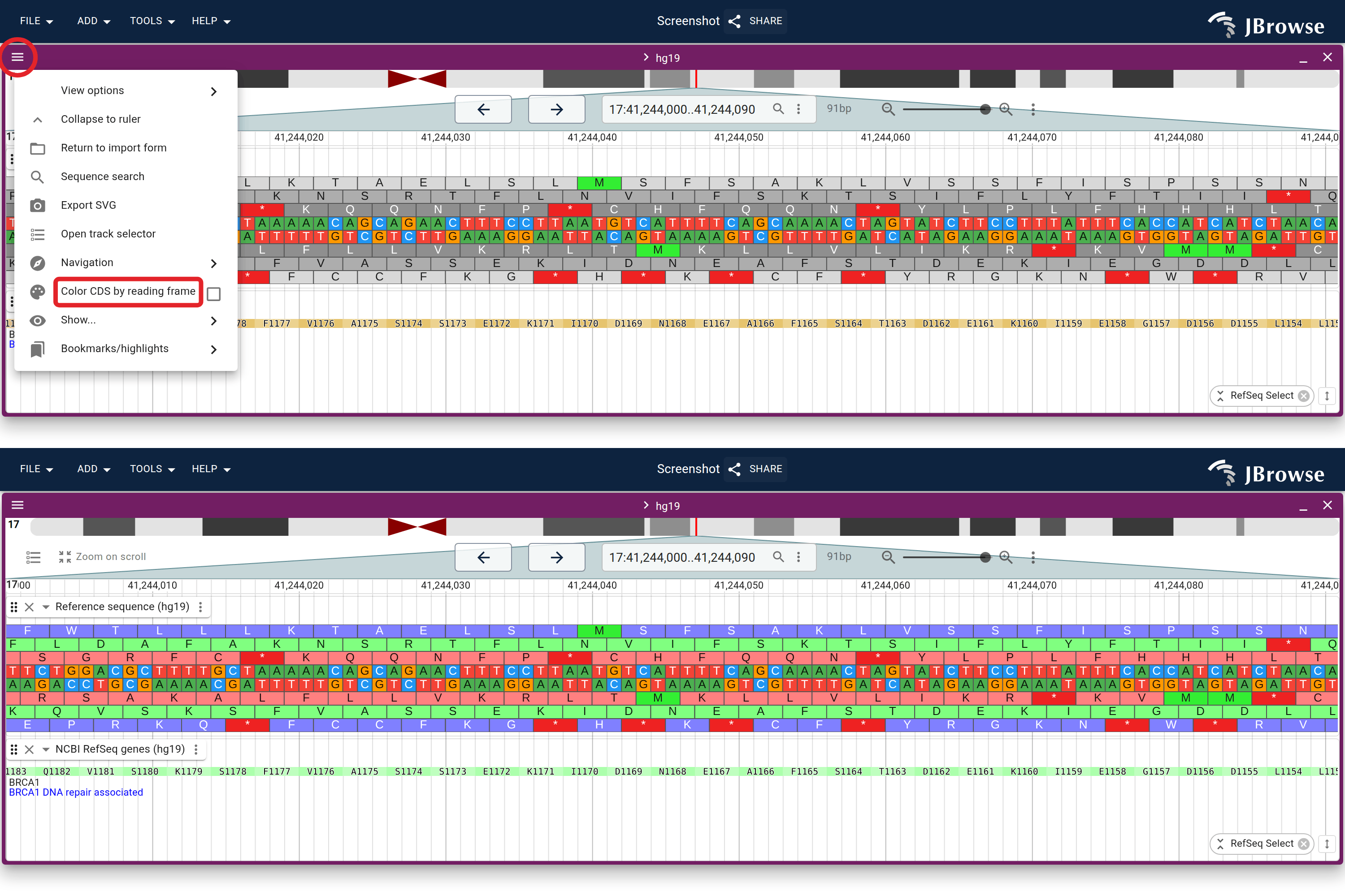 Turning on Color by CDS for BRCA1 (hg19). Top: the hamburger menu with the 'Color CDS by reading frame' toggle. Bottom: the result at base-pair resolution, each codon tinted by its reading frame with its amino acid and protein position drawn over it.