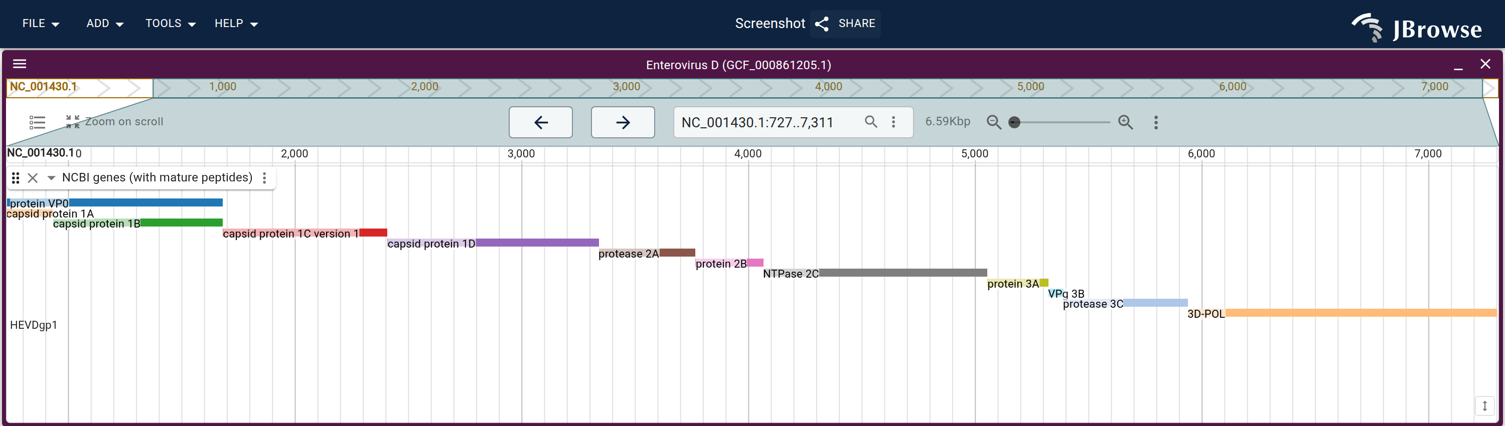 The enterovirus D (GCF_000861205.1) ORF1 polyprotein. The CDS is cleaved into its mature peptides (VP0, VP1–VP4, the 2A–2C and 3A–3D proteins), each drawn on its own row in a distinct color; hovering a region shows its product name.