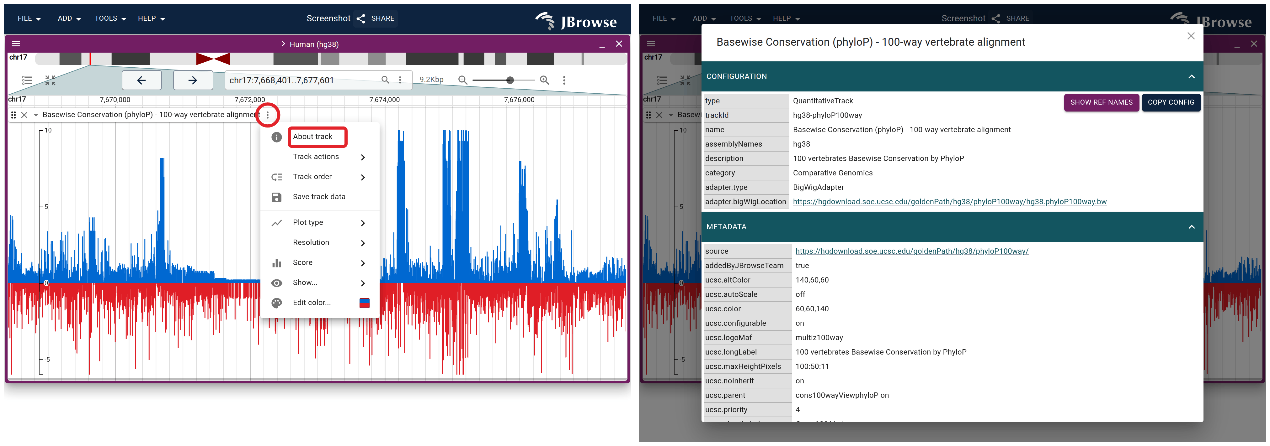 Left: the phyloP track menu, with the icon that opens it circled and About track boxed. Right: the dialog it opens, naming the BigWig on hgdownload with UCSC's own trackDb entry below it.