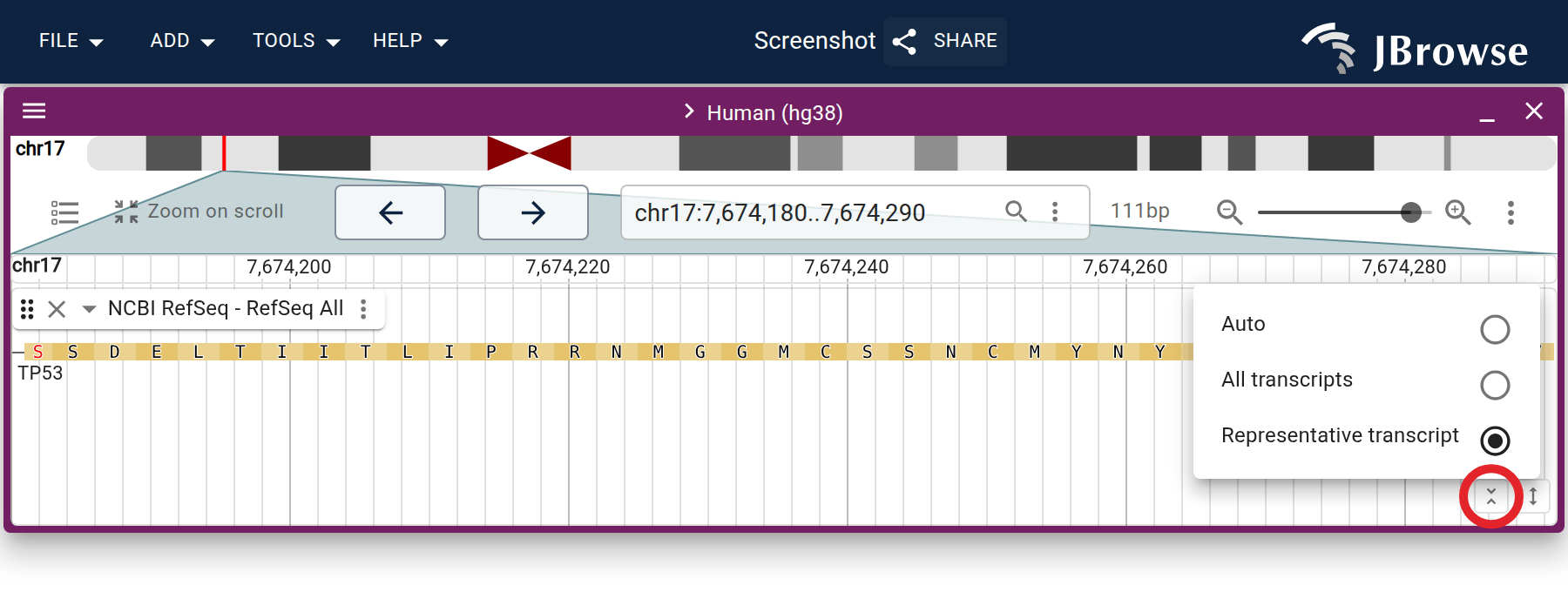 The isoform control on the gene track, circled, with the popover it opens. It carries the same Auto, All transcripts and Representative transcript options as the track menu's Gene glyph radio.