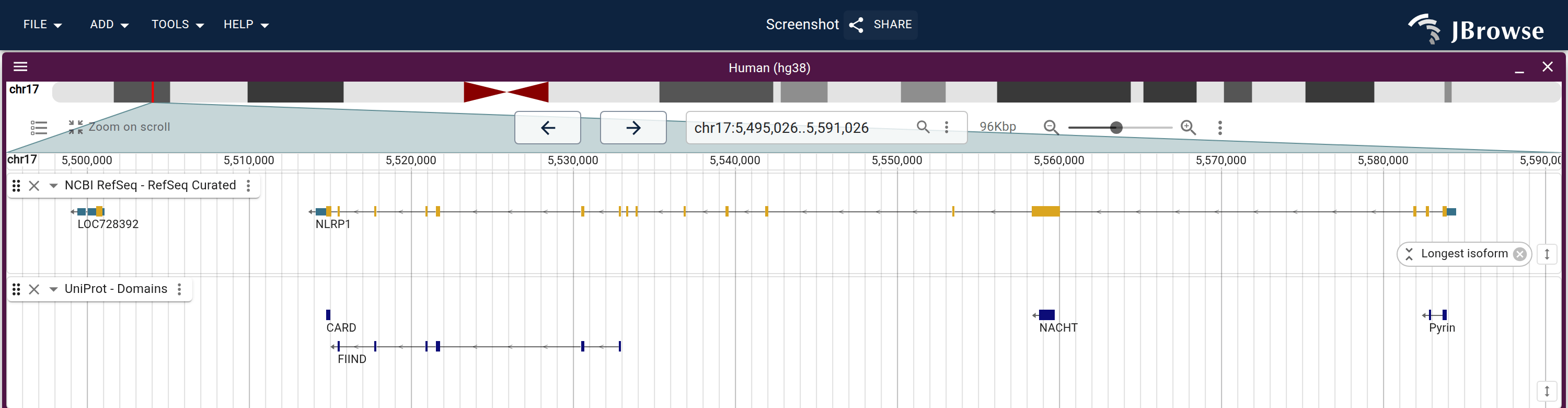 NLRP1 with NCBI RefSeq above UniProt - Domains, filtered to the gene's reviewed UniProt entry. Pyrin sits at the right-hand end, where the N terminus is, and NACHT, FIIND and CARD run leftward from it.