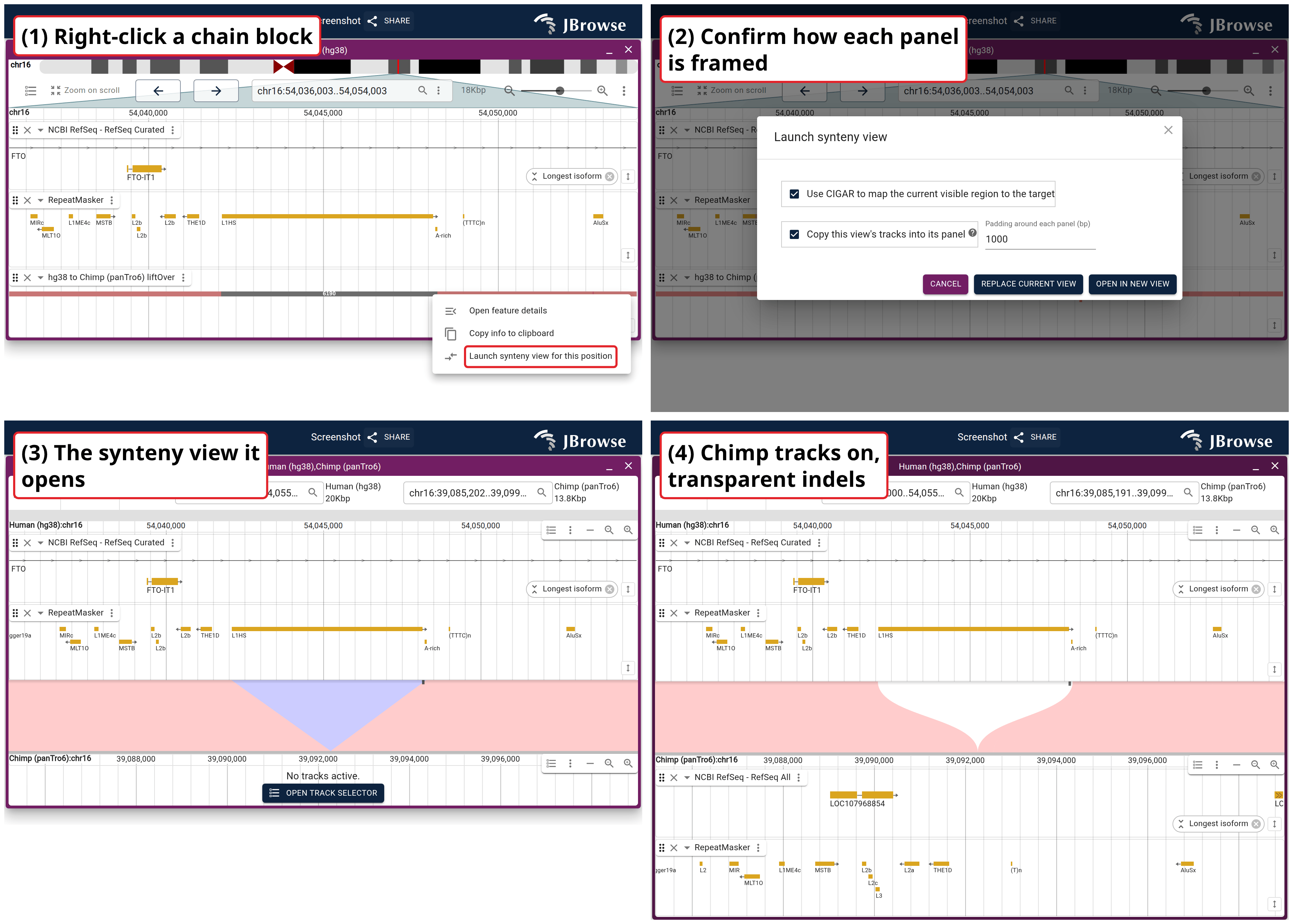The four steps on the hg38-to-panTro6 liftOver track across an FTO intron: right-click a chain block, confirm the framing, launch, then add the chimp panel's genes and repeats.