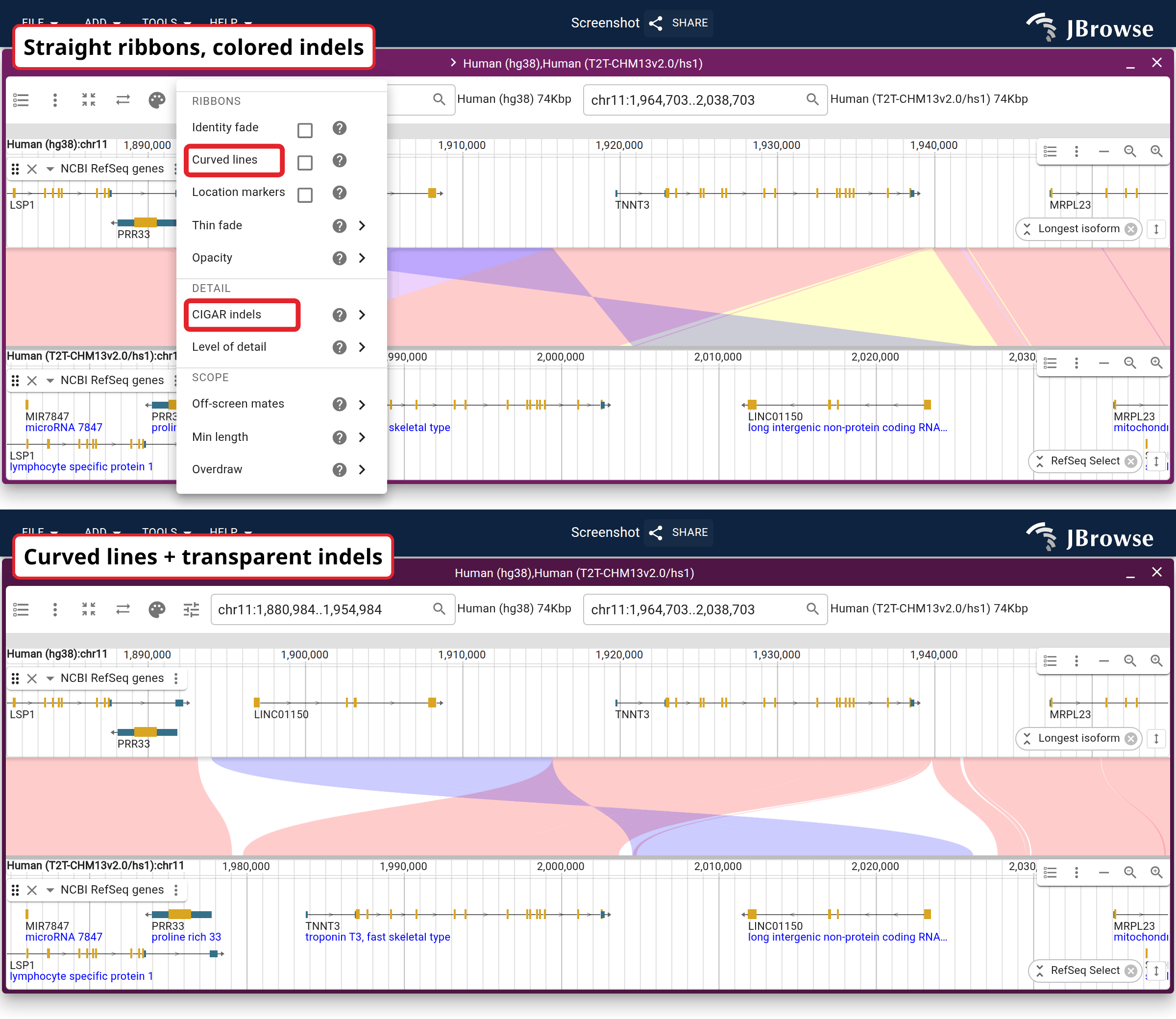 The same TNNT3 comparison before and after both settings, with the menu that holds them open on top. Top: straight ribbons with colored indels. Bottom: curved ribbons with transparent indels.