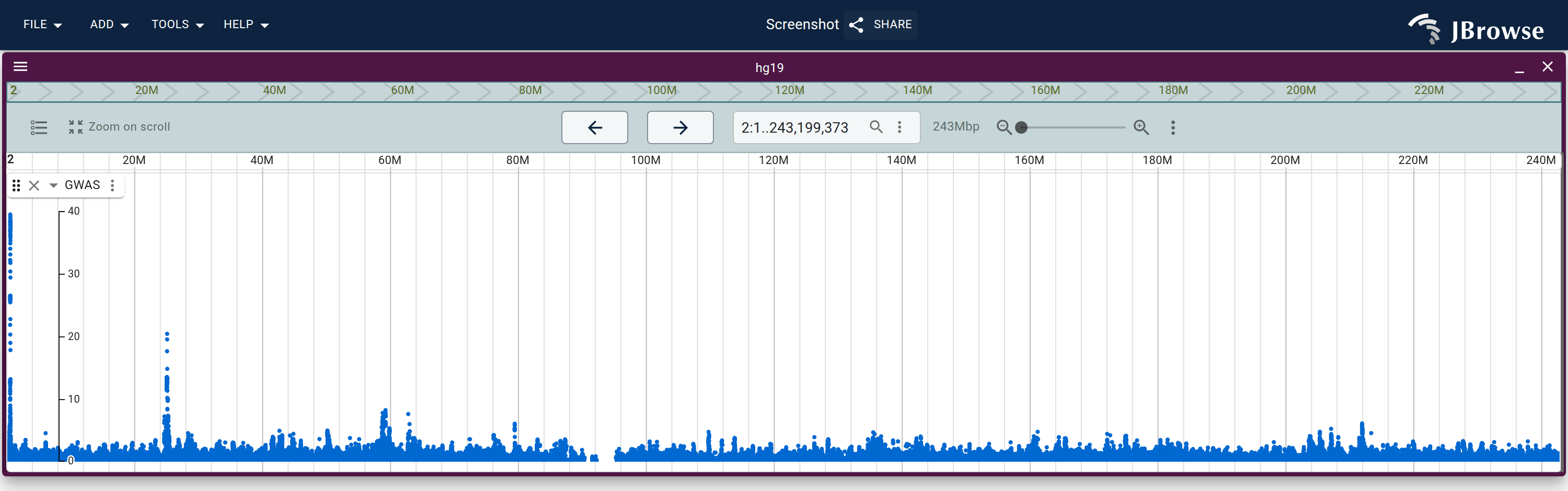 A real feature-plotting display built the way this guide describes: plugins/gwas/src/LinearManhattanDisplay fetches scored points in a worker as typed arrays and plots them per block on the main thread. Each point is a GWAS variant positioned by genome coordinate (X) and −log₁₀(p-value) (Y); the tall peak on hg19 chr2 is a strong association.