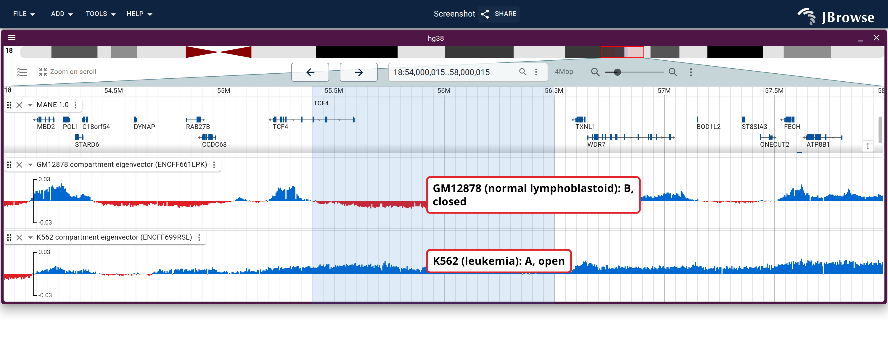 GM12878 and K562 eigenvector tracks over the same window: the TCF4 band falls in opposite compartments in the two lines while the frame edges agree.
