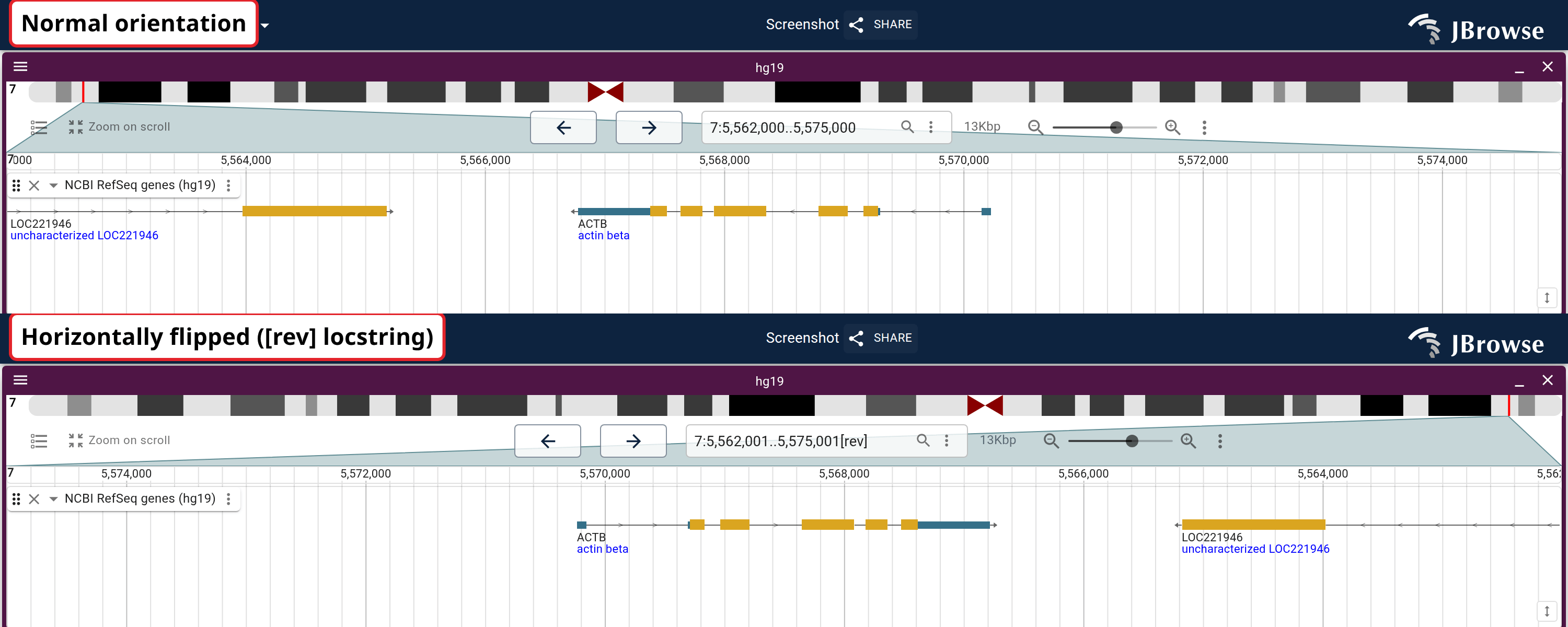Before and after horizontally flipping.