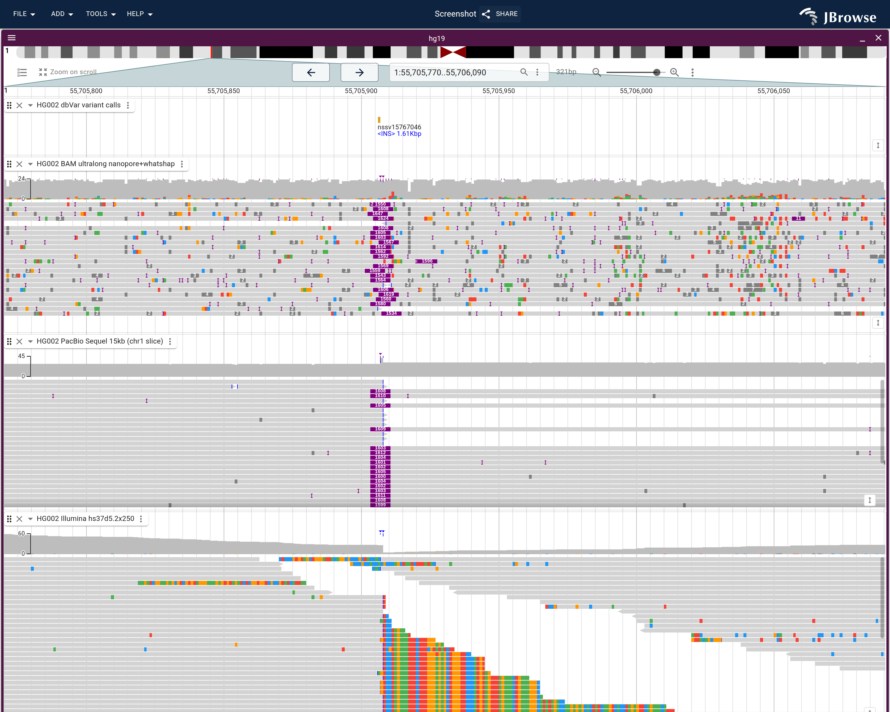 A large insertion across nanopore, PacBio, and Illumina reads: long reads span it as a dense column of purple insertion rectangles.