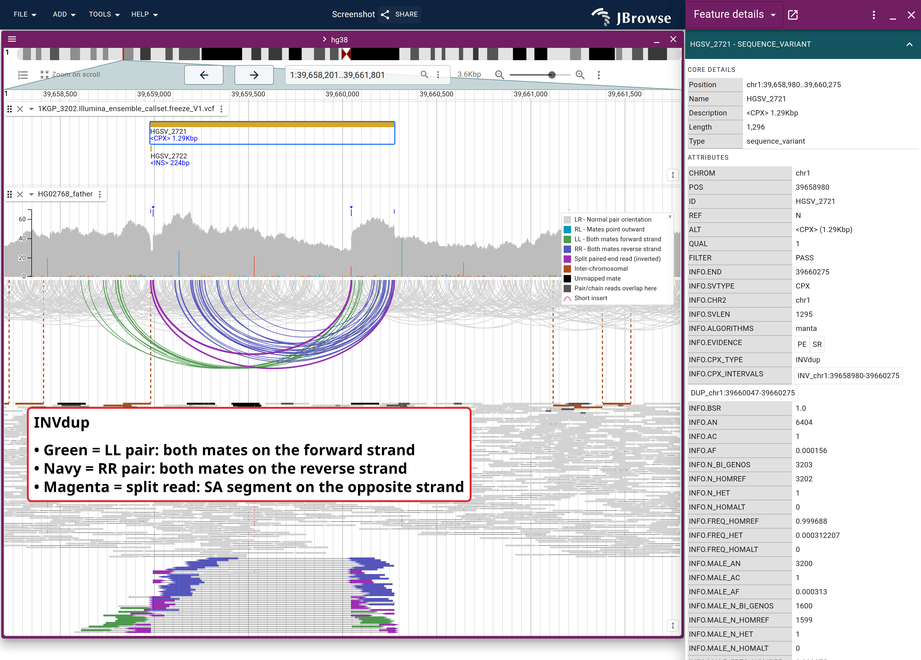 An inverted duplication (CPX type INVdup, HGSV_2721) in HG02768 paired-end reads, with the 1KGP ensemble call above and the variant's INFO fields open alongside.