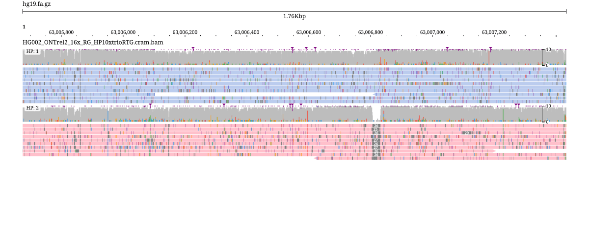 Reads grouped and colored by haplotype (HP tag), showing a heterozygous deletion in one haplotype