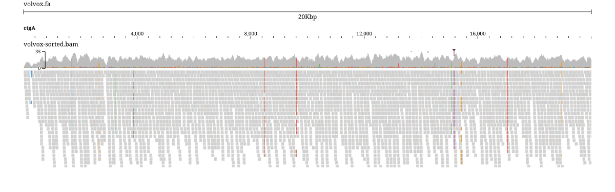 A coverage histogram over a read pileup, with mismatches highlighted