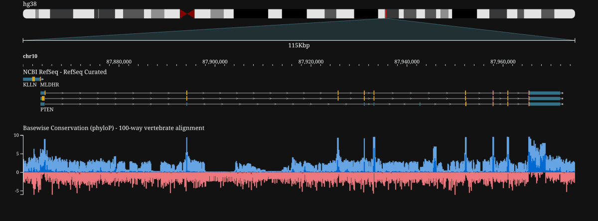 The hg38 PTEN locus: NCBI RefSeq genes over phyloP conservation, rendered with the darkStock theme