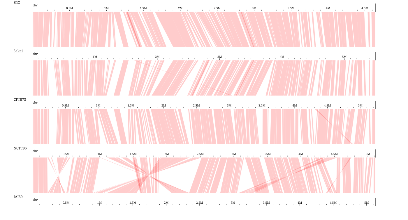 Five E. coli strains stacked from one all-vs-all PAF, every band served by the same track