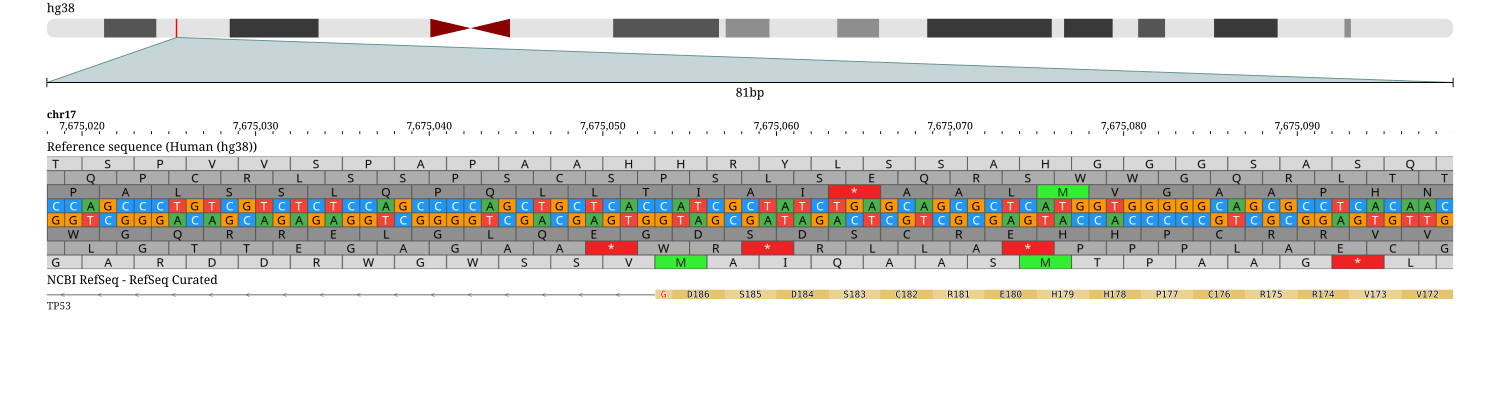 A TP53 intron/CDS boundary at base level: the reference sequence's DNA bases and six-frame translation above the NCBI RefSeq gene track, whose CDS exon block begins where the intron connector ends