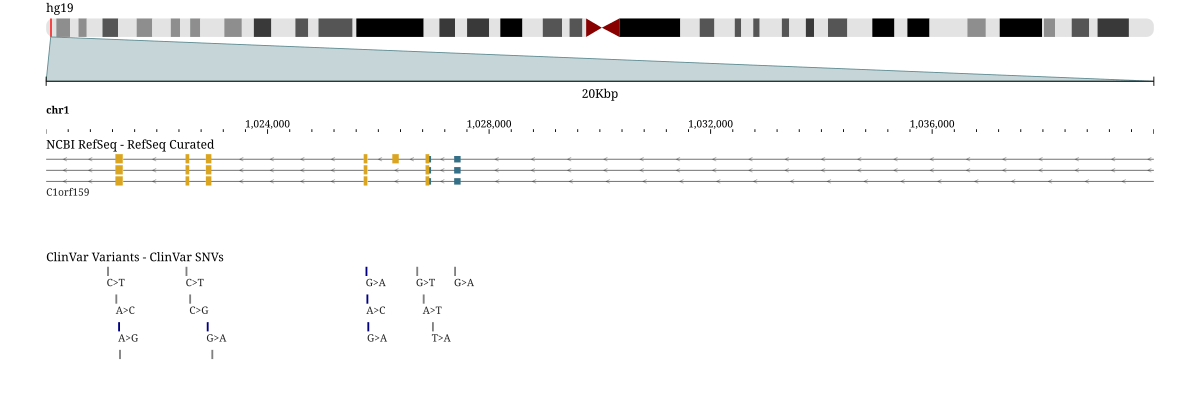 NCBI RefSeq genes and ClinVar variants at the start of hg19 chromosome 1, both named by trackId from the hosted hg19 hub