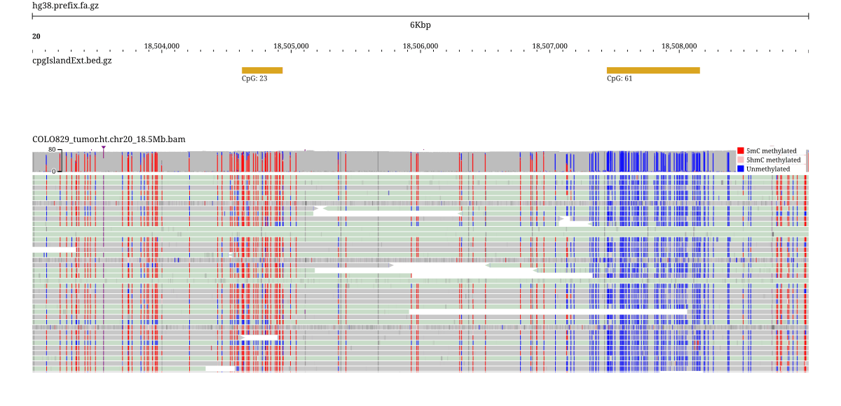 COLO829 nanopore reads colored by per-base CpG methylation over a CpG island