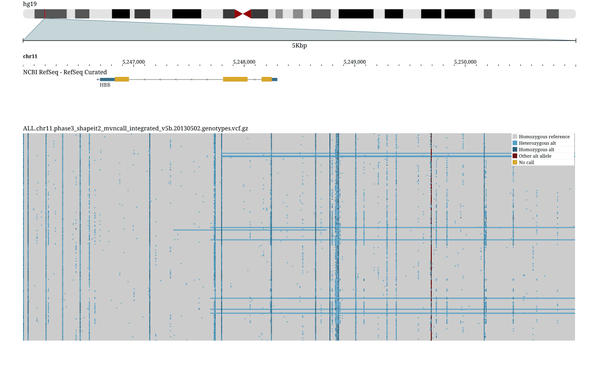The 1000 Genomes phase 3 chr11 callset (2,504 samples) as a multi-sample genotype matrix over the HBB locus, with the NCBI RefSeq gene track above