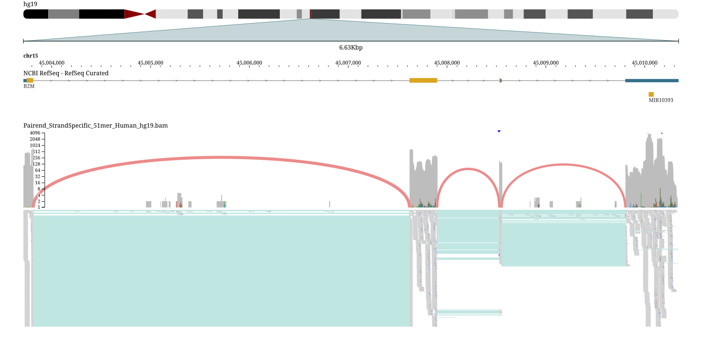 RNA-seq sashimi plot over B2M: splice-junction arcs on the coverage band sized by junction read depth, over the spliced read pileup