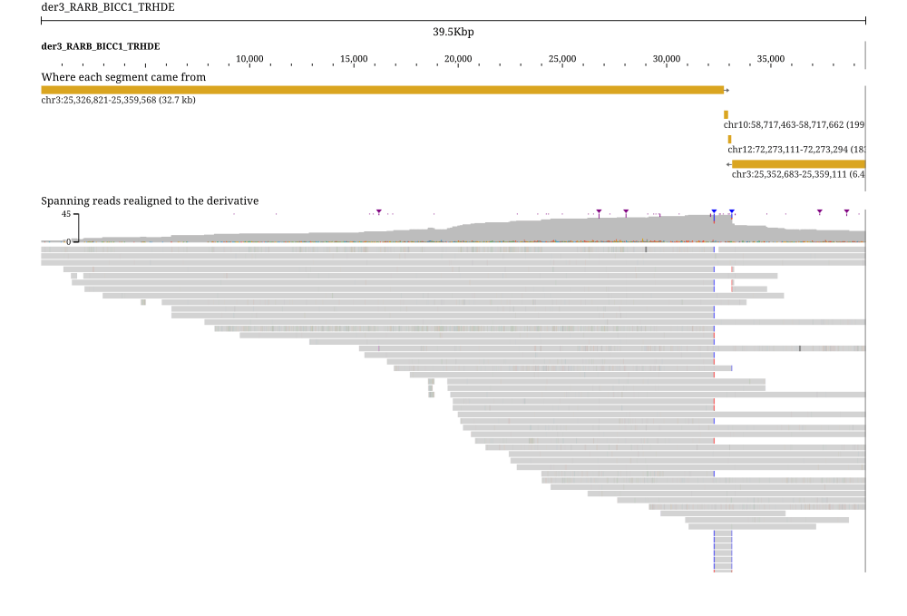 The COLO829 der(3) allele as a single 39.5 kb contig: 32.7 kb of chr3, 199 bp of chr10 and 183 bp of chr12 end to end, with the spanning reads running through every junction