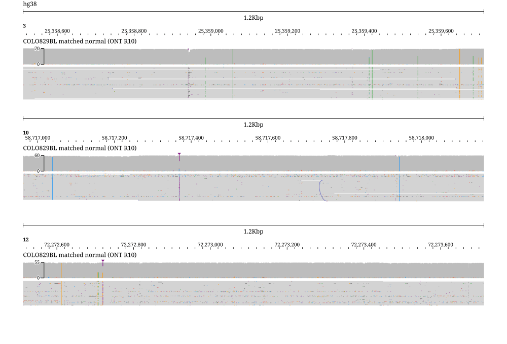 The same three loci in the matched normal, with no connecting curves in any panel