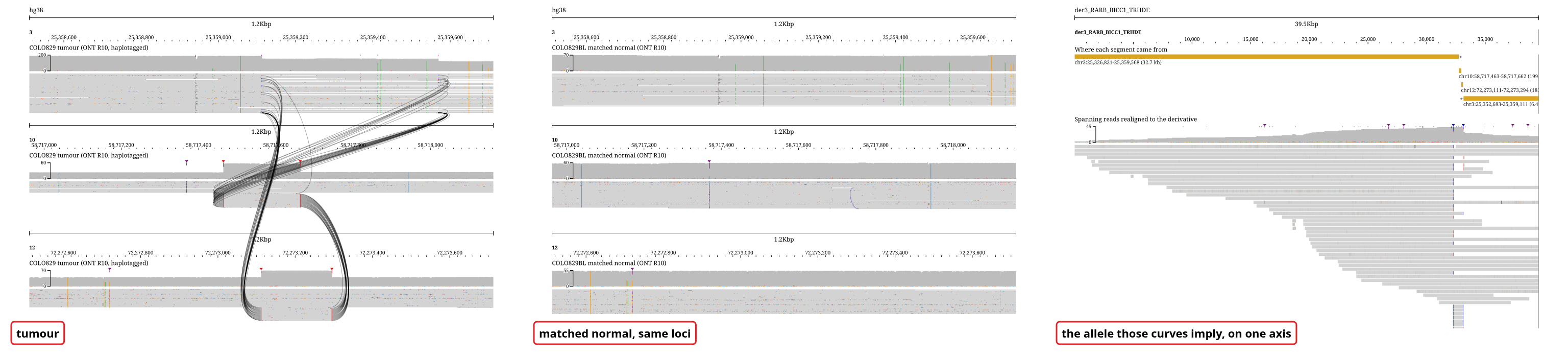 The three loci of COLO829's der(3), chr3 then chr10 then chr12, at the same width in every panel. The tumor nanopore reads carry a solid curve at every breakend and the matched normal carries none. On the right, the same three loci as one 39.5 kb reconstructed contig.