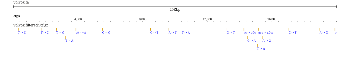 A variant track drawing each SNV with its reference-to-alternate change