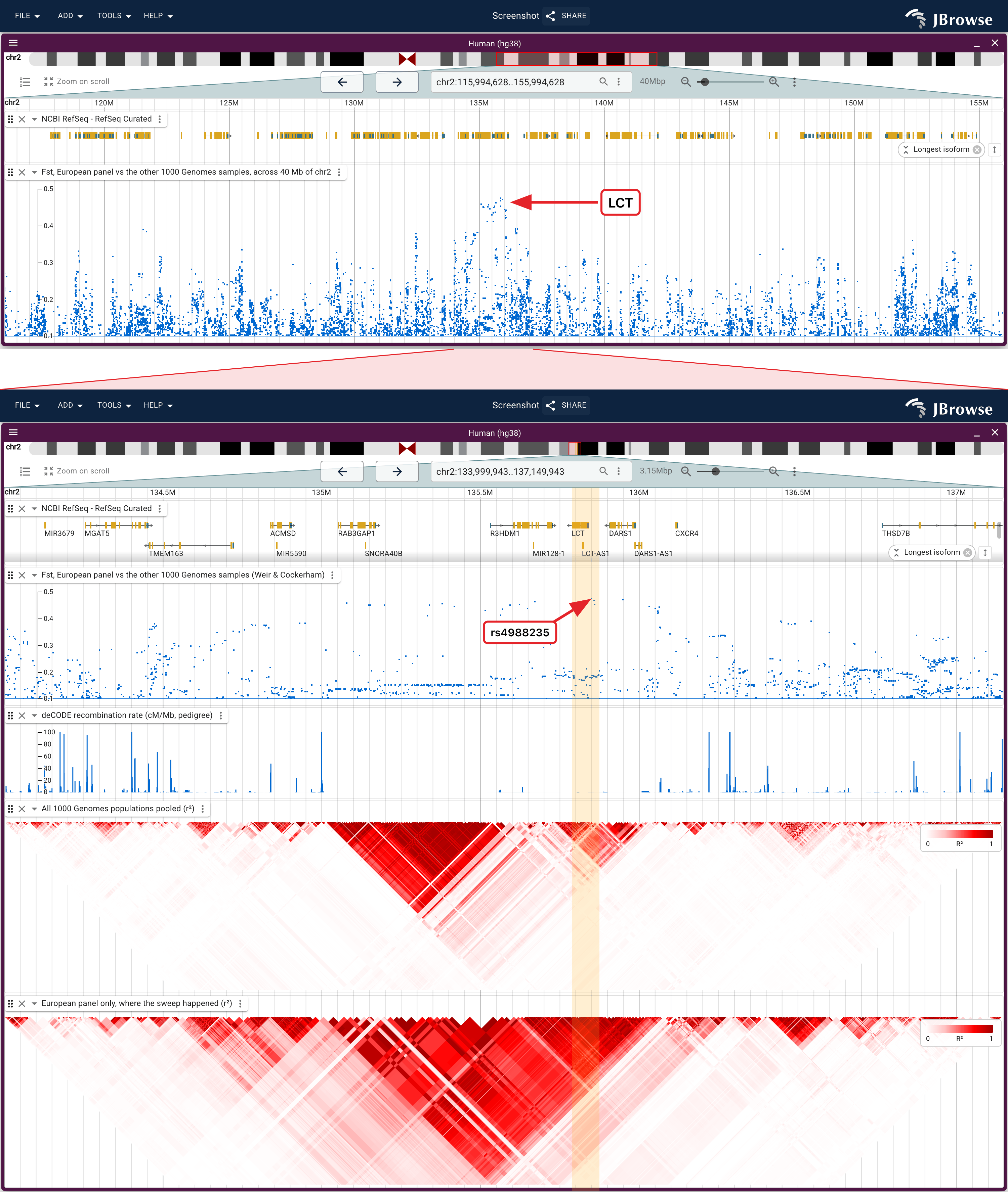 Top, RefSeq genes and Weir and Cockerham Fst per variant across a wide span of chr2. Under the wedge, the same locus and allele-frequency floor twice, differing only in which samples went in, over that Fst lane at its own scale and the deCODE genetic map.