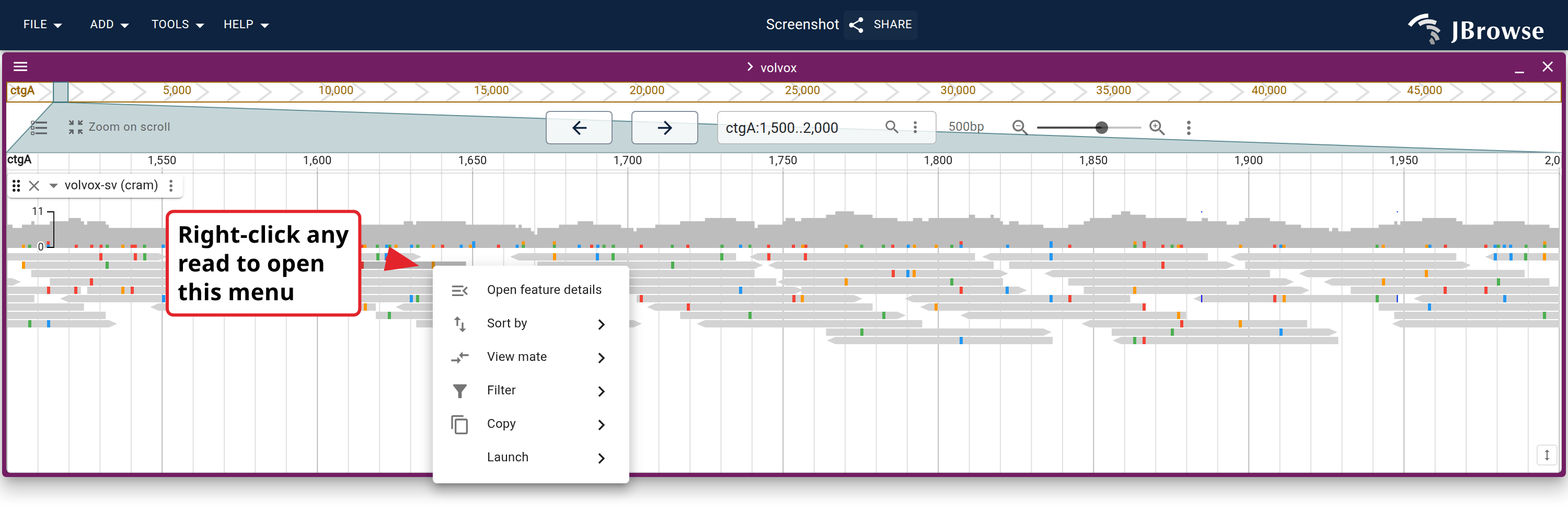 A screenshot of a context menu available on a linear genome view track. Here, we see the context menu of a feature right-clicked on a LinearAlignmentsDisplay.