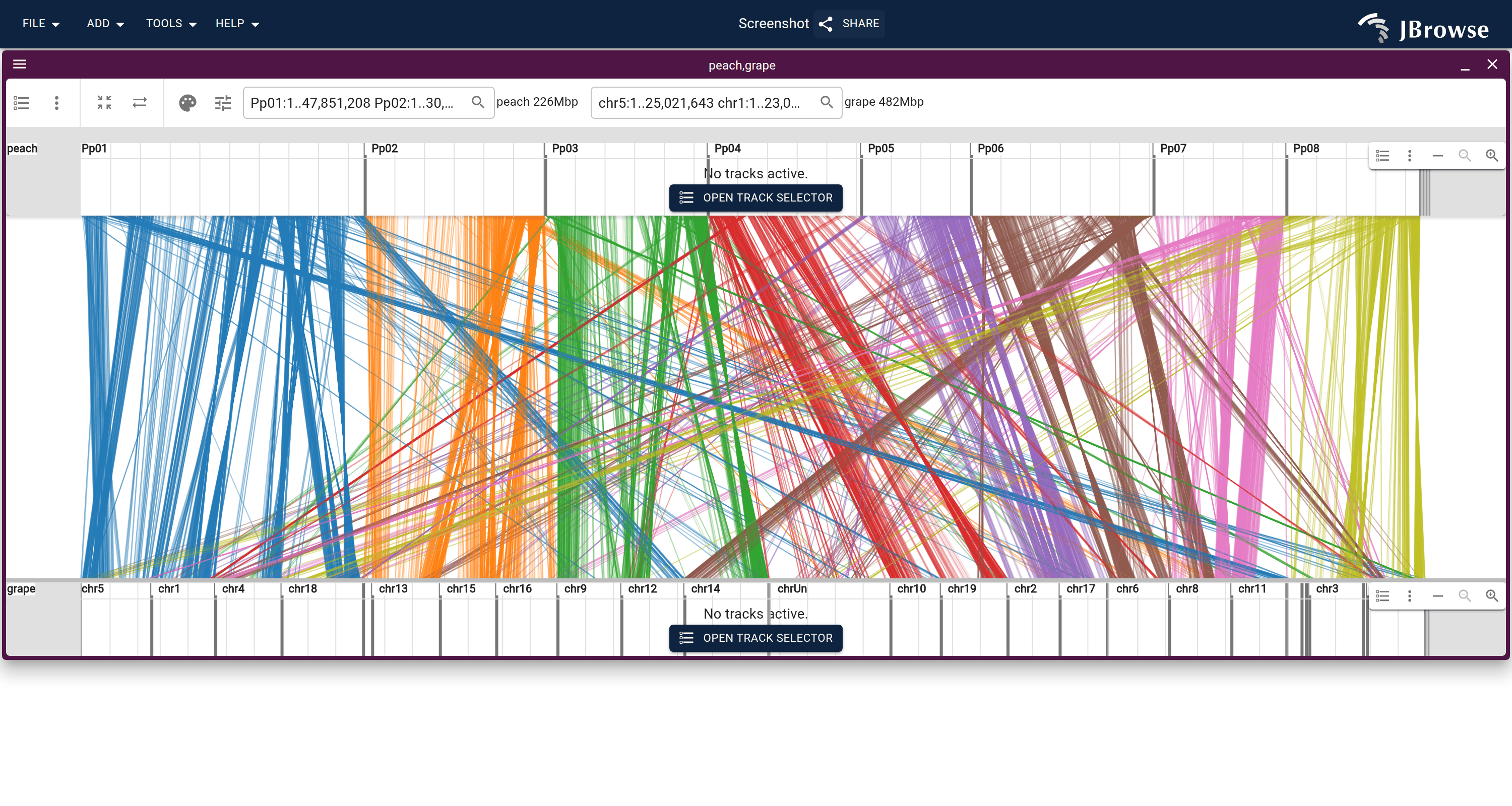 The linear synteny view for the grape vs peach genomes.