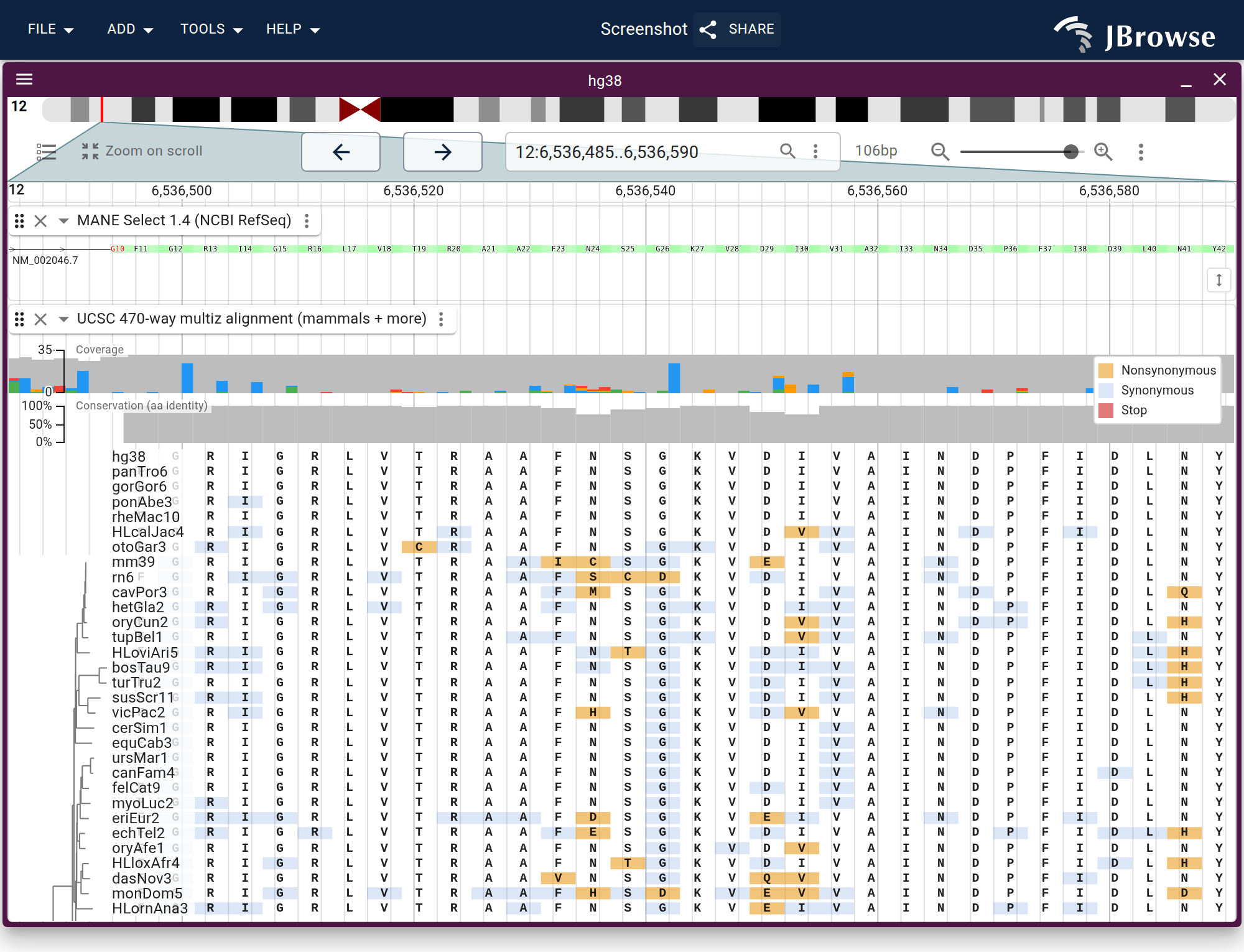 The hg38 470-way narrowed to representative mammals, one per major clade plus opossum and platypus outgroups, in codon view at a conserved GAPDH exon.