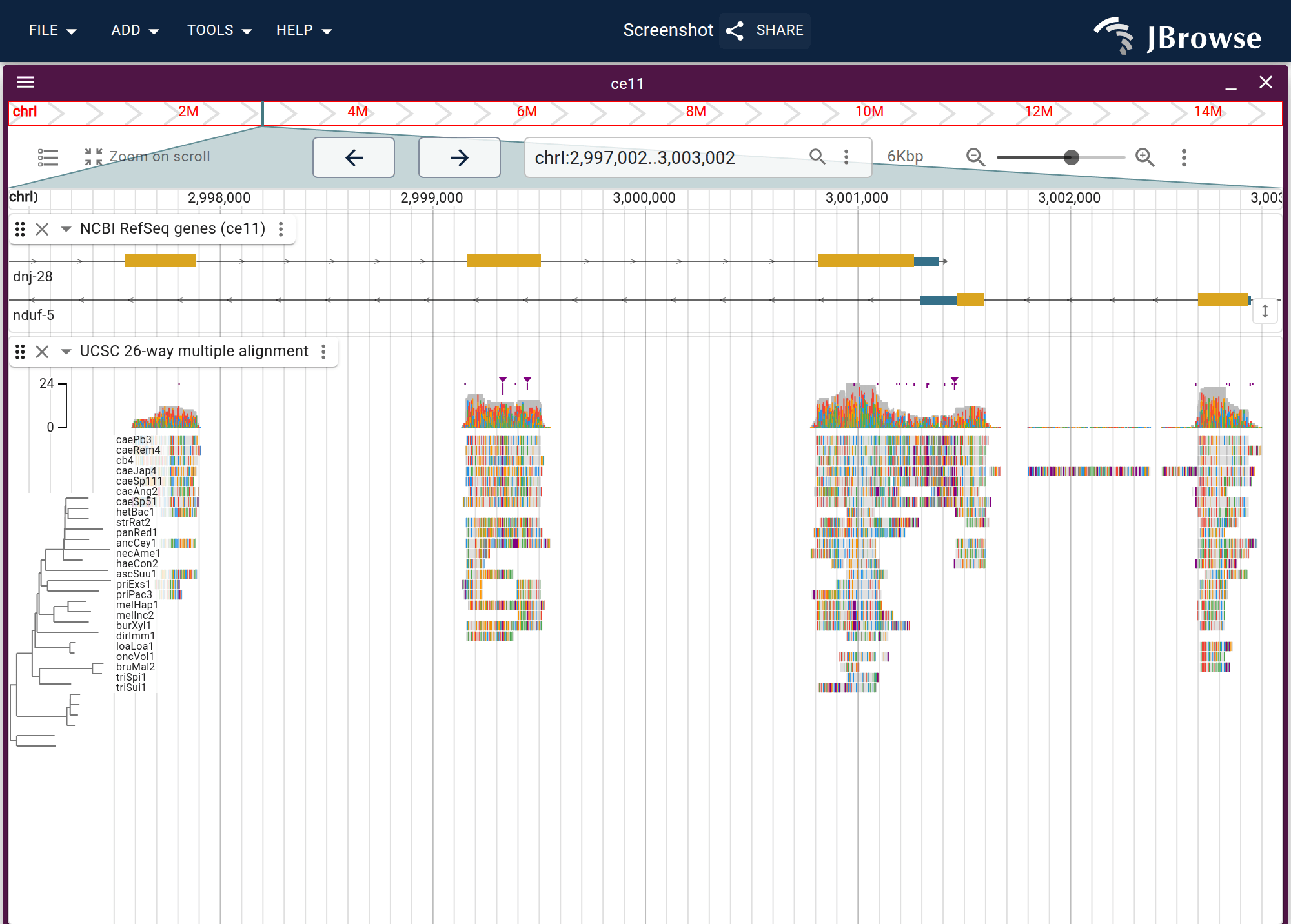 The UCSC ce11 26-way multiz alignment, with the ce11 NCBI RefSeq gene lane on top: the coverage band, then one row per species ordered by the guide tree, each species' differences from the reference drawn as colored marks. The conserved blocks line up with the coding exons above.