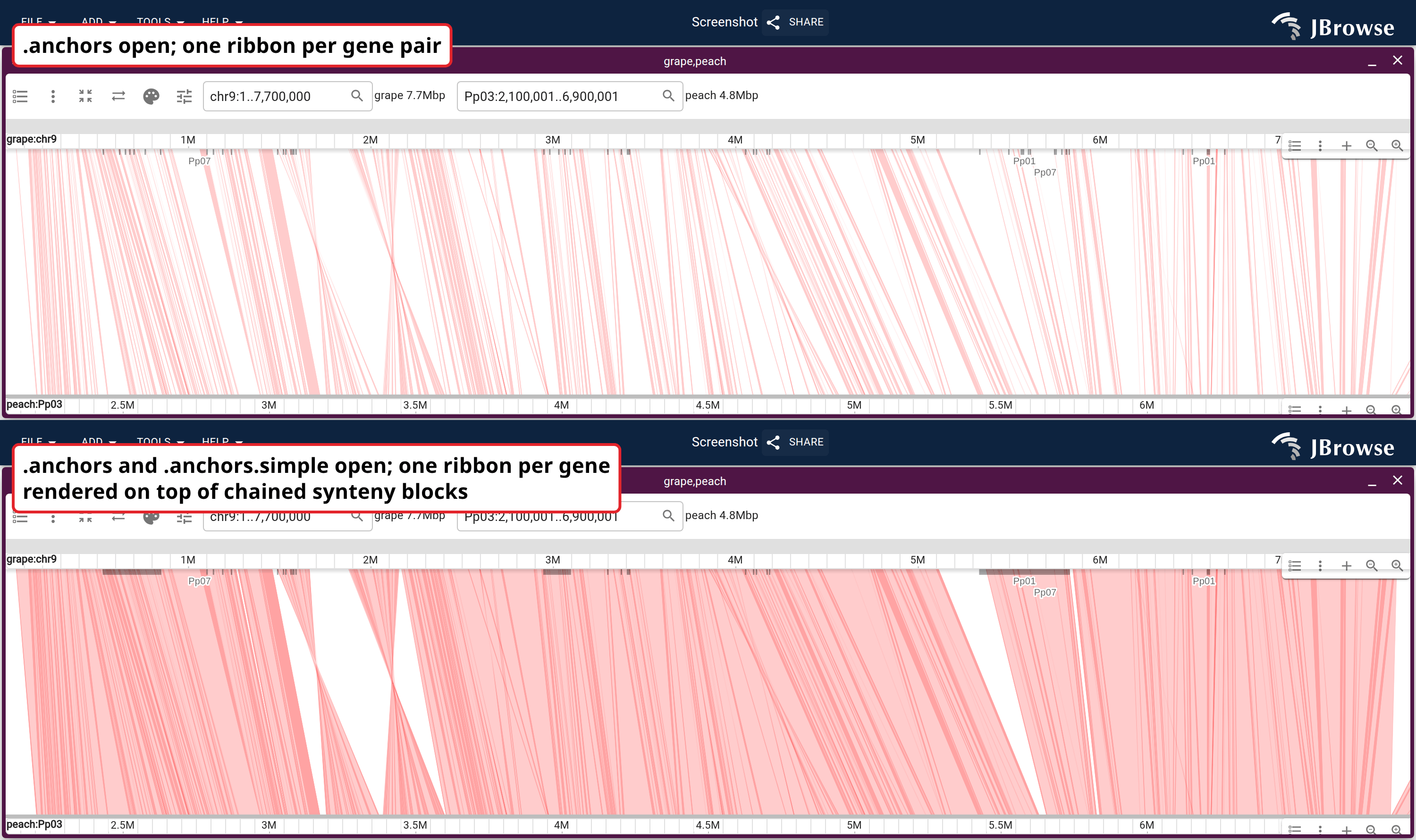 A run of MCScan blocks on grape chr9 against peach Pp03. Top: .anchors alone, one ribbon per orthologous gene pair. Bottom: both files on the same band, so each block is the bundle of pairs it was reduced from.