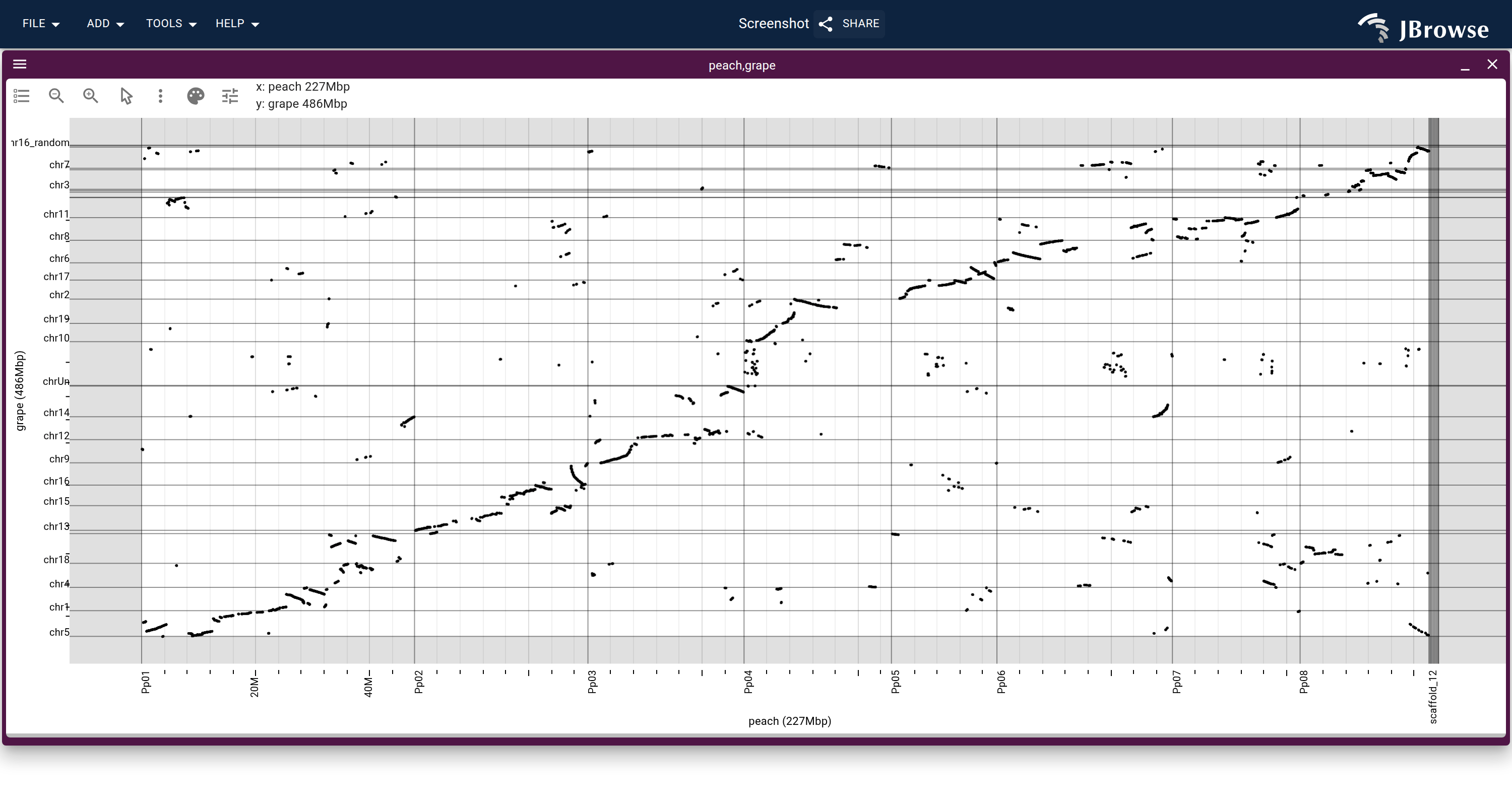 Grape against peach after Re-order chromosomes, every point one orthologous gene pair from the .anchors file. Each run of points is one MCScan block.