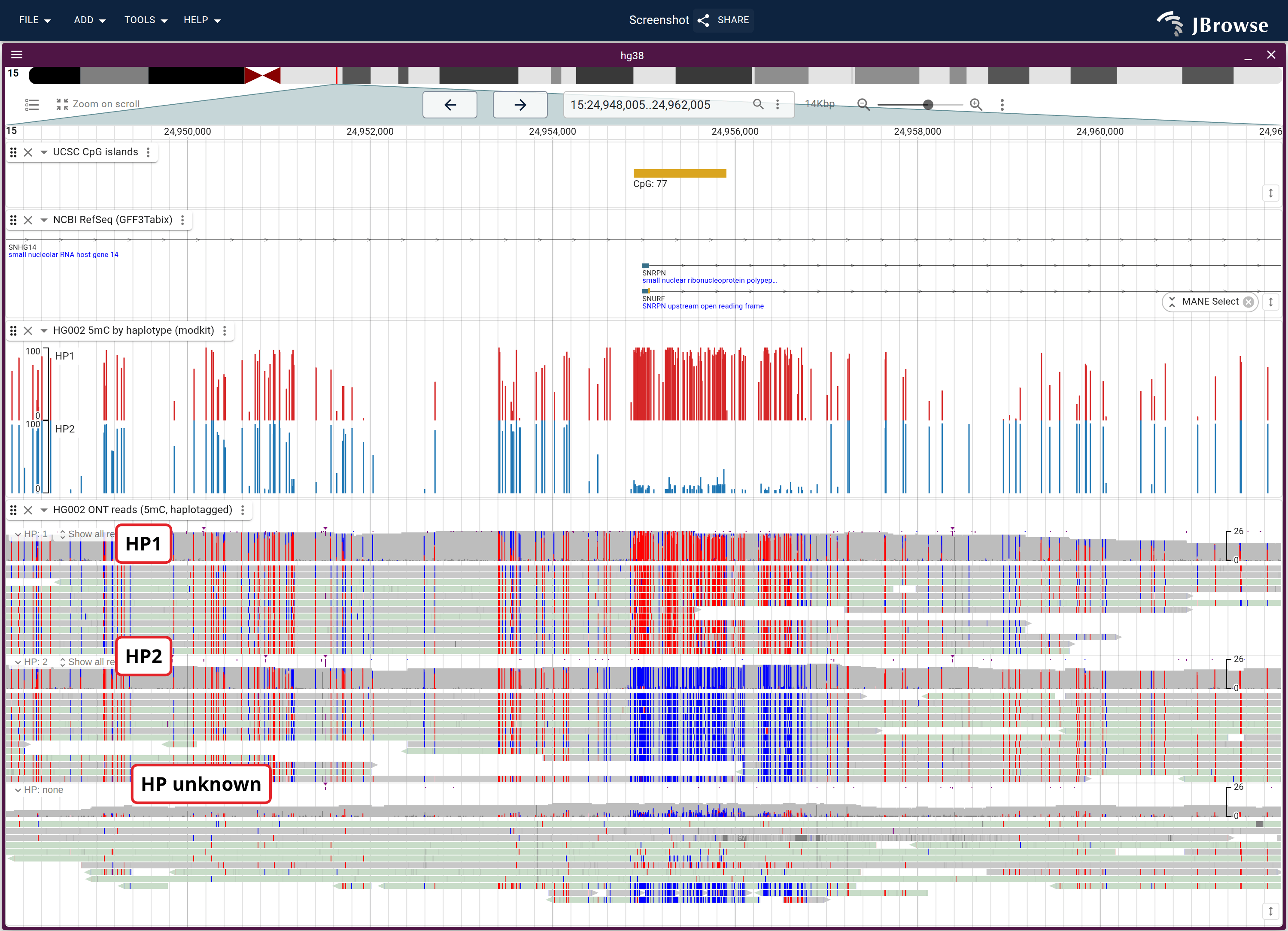 Imprinting at the SNRPN / Prader-Willi center: one haplotype methylated, the other not. Grouping reads by HP keeps the summary profile on top and the individual reads below it as the same data.