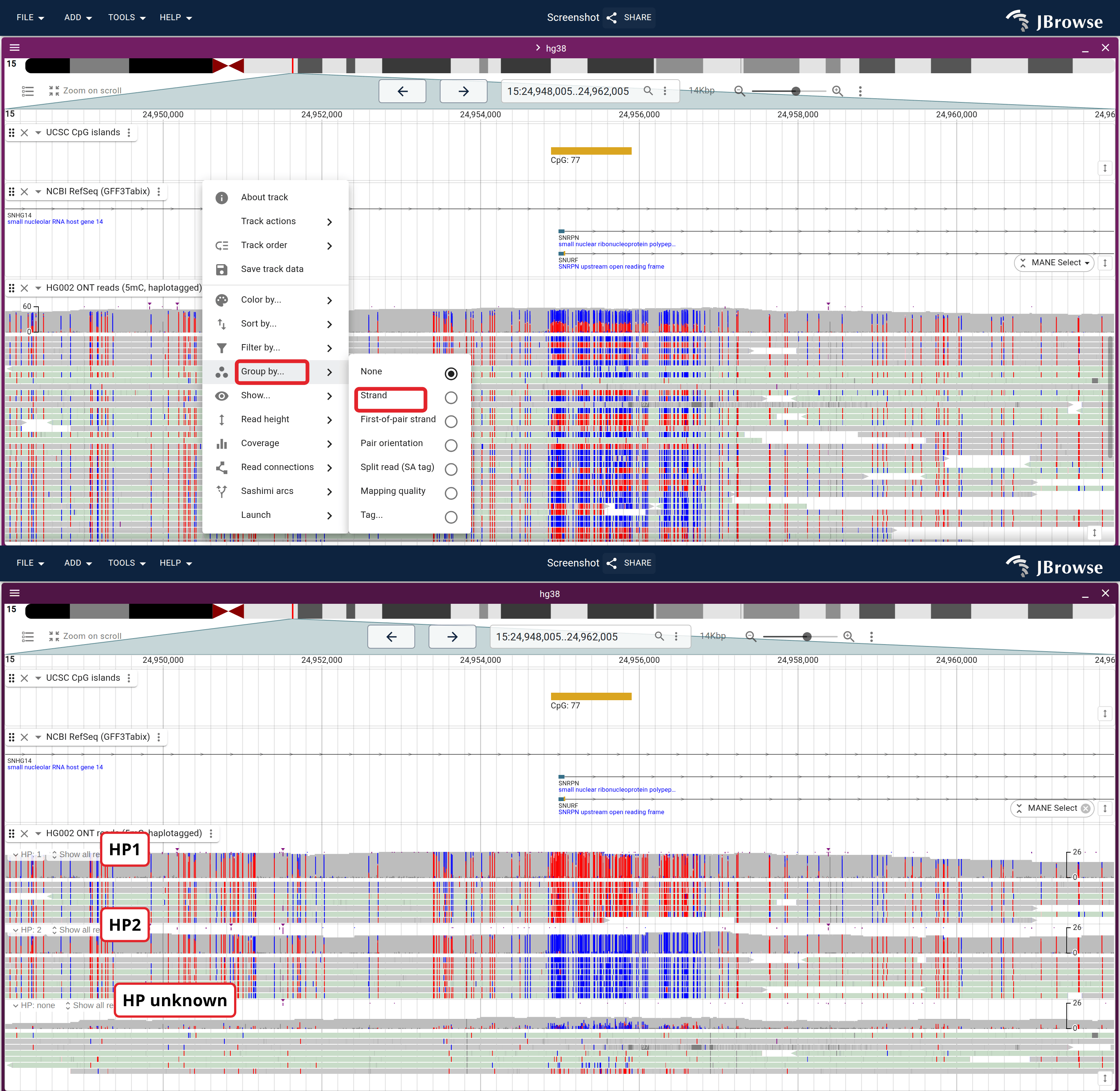 HG002 ONT reads over the SNRPN CpG island, colored by 5mC with unmethylated CpGs in blue. Top: file order. Bottom: the same reads grouped by the HP tag, one band per haplotype. Only the grouping differs.