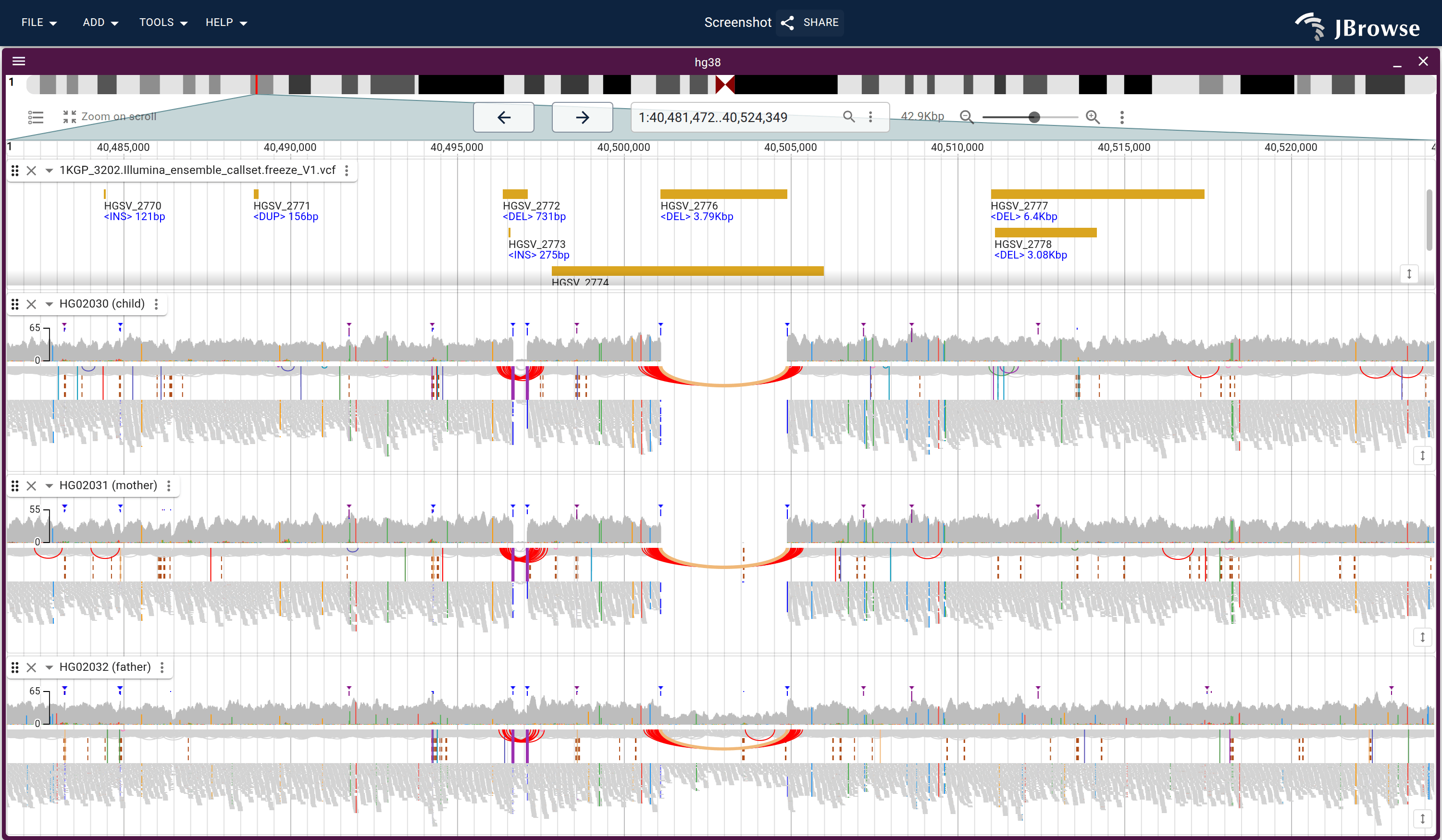 Read arcs over a deletion in the 1000 Genomes Kinh-Vietnamese trio, with the 1KGP ensemble SV call on top. The red arcs are pairs with a larger-than-expected insert size, lining up with the called breakpoints across all three samples.