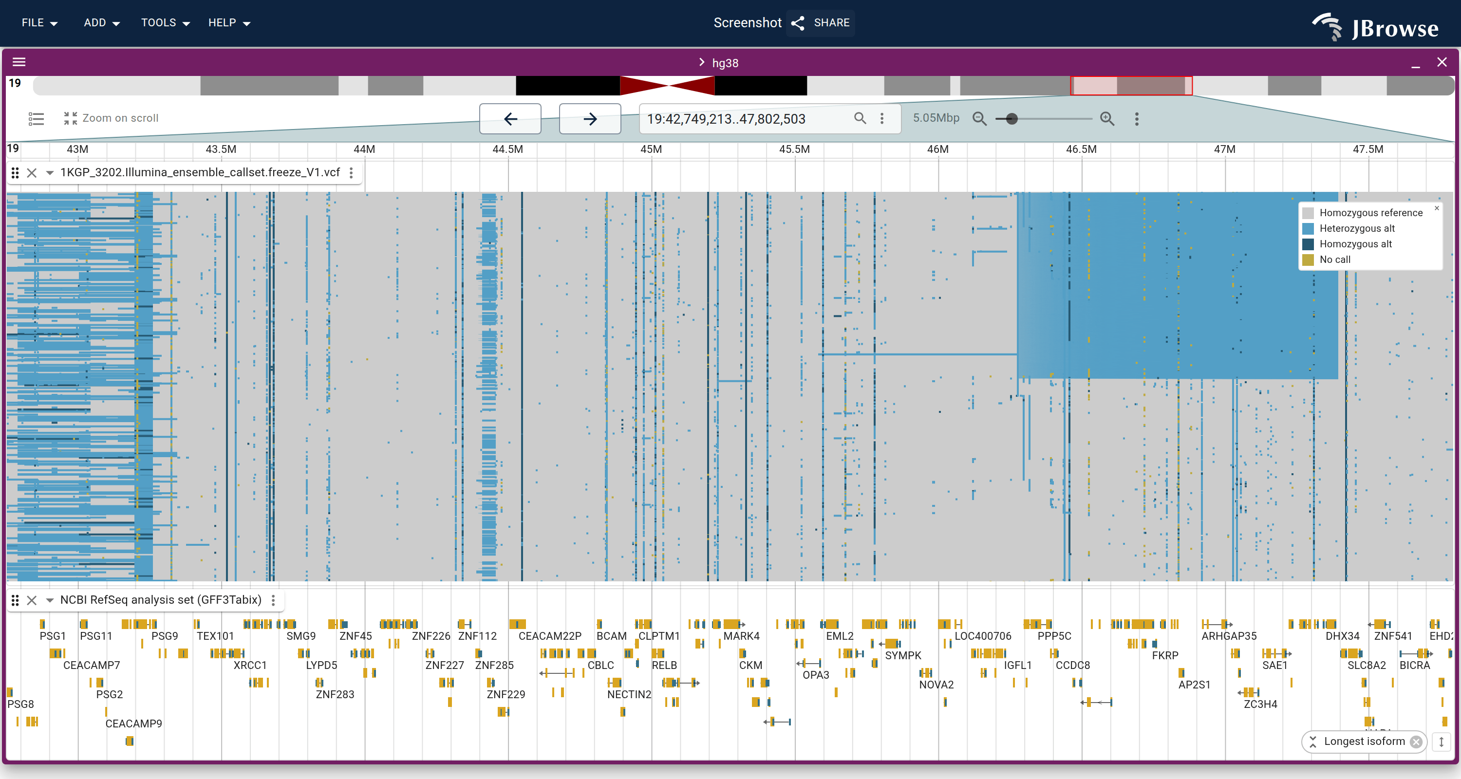 1000 Genomes SV ensemble callset (3202 samples) across 5 Mb of chr19, one row per sample, sorted by genotype at a 1.1 Mb inversion. Each call is drawn at its real span, so the sort collects the inversion's carriers into a block against the rest of the cohort.