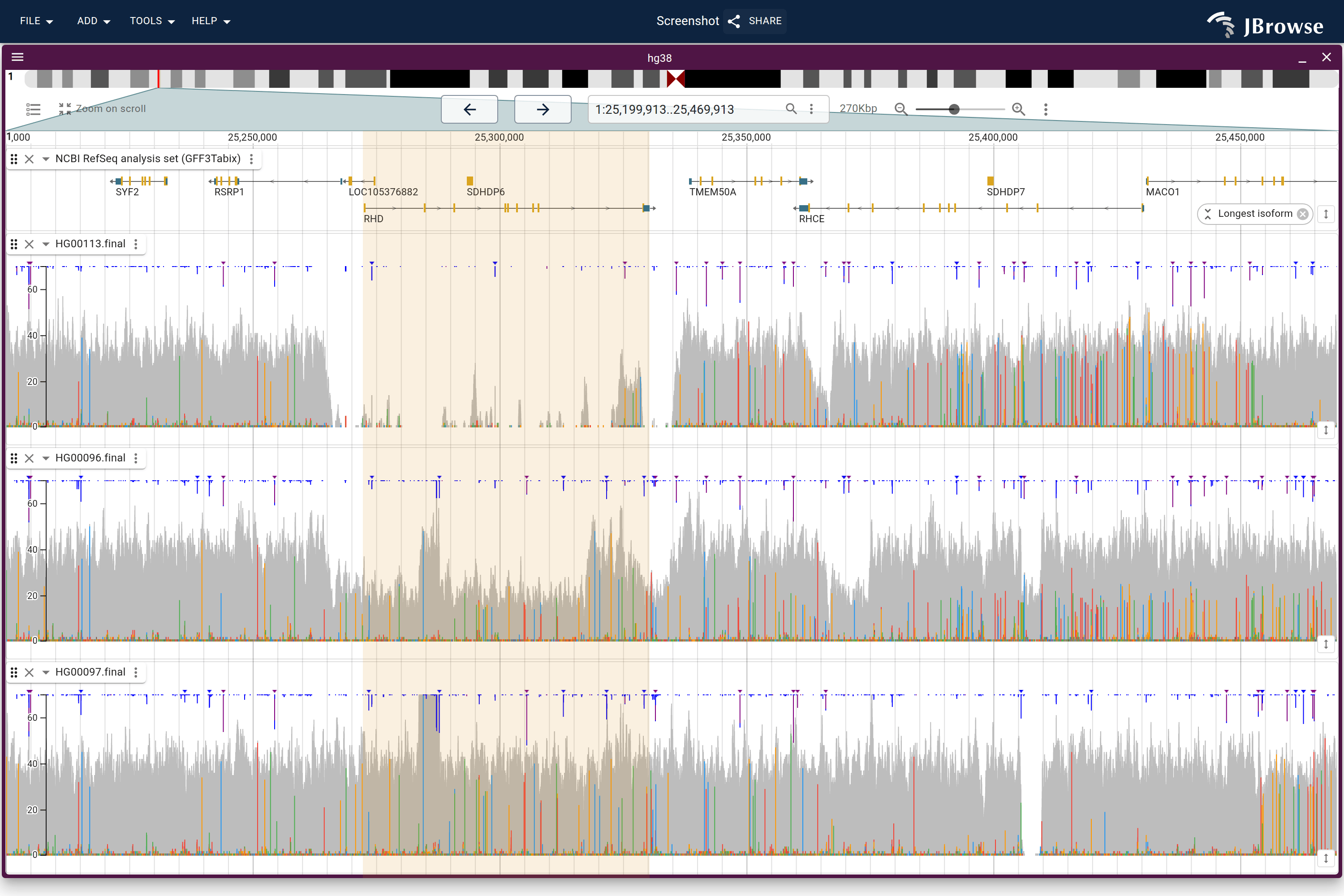 The RHD deletion across three genotypes, coverage pinned to one shared axis, the banded span RHD itself. Top, HG00113 with no copy; middle, HG00096 with one; bottom, HG00097 with two.