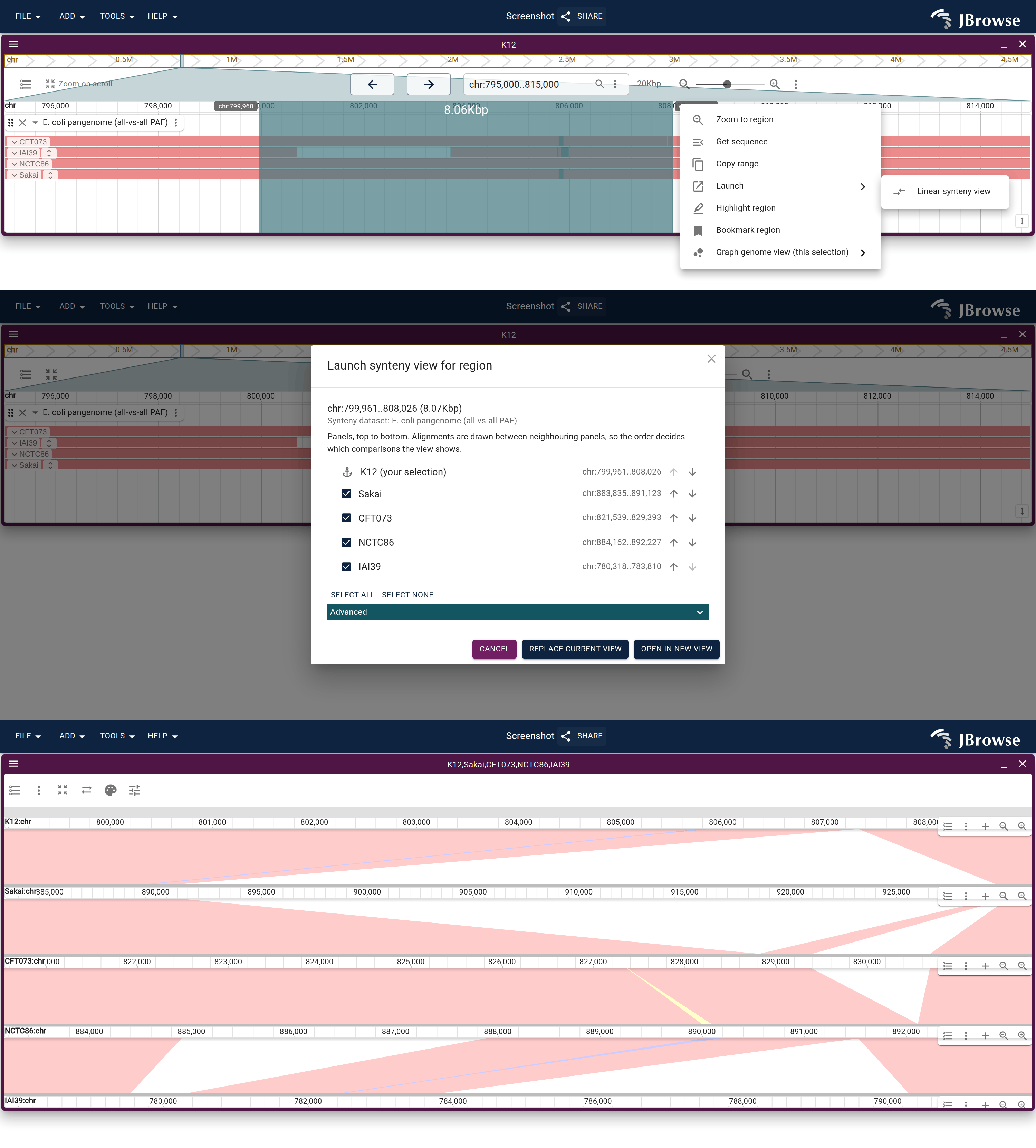 Rubberband-select a window of the shared backbone, then Launch → Linear synteny view.