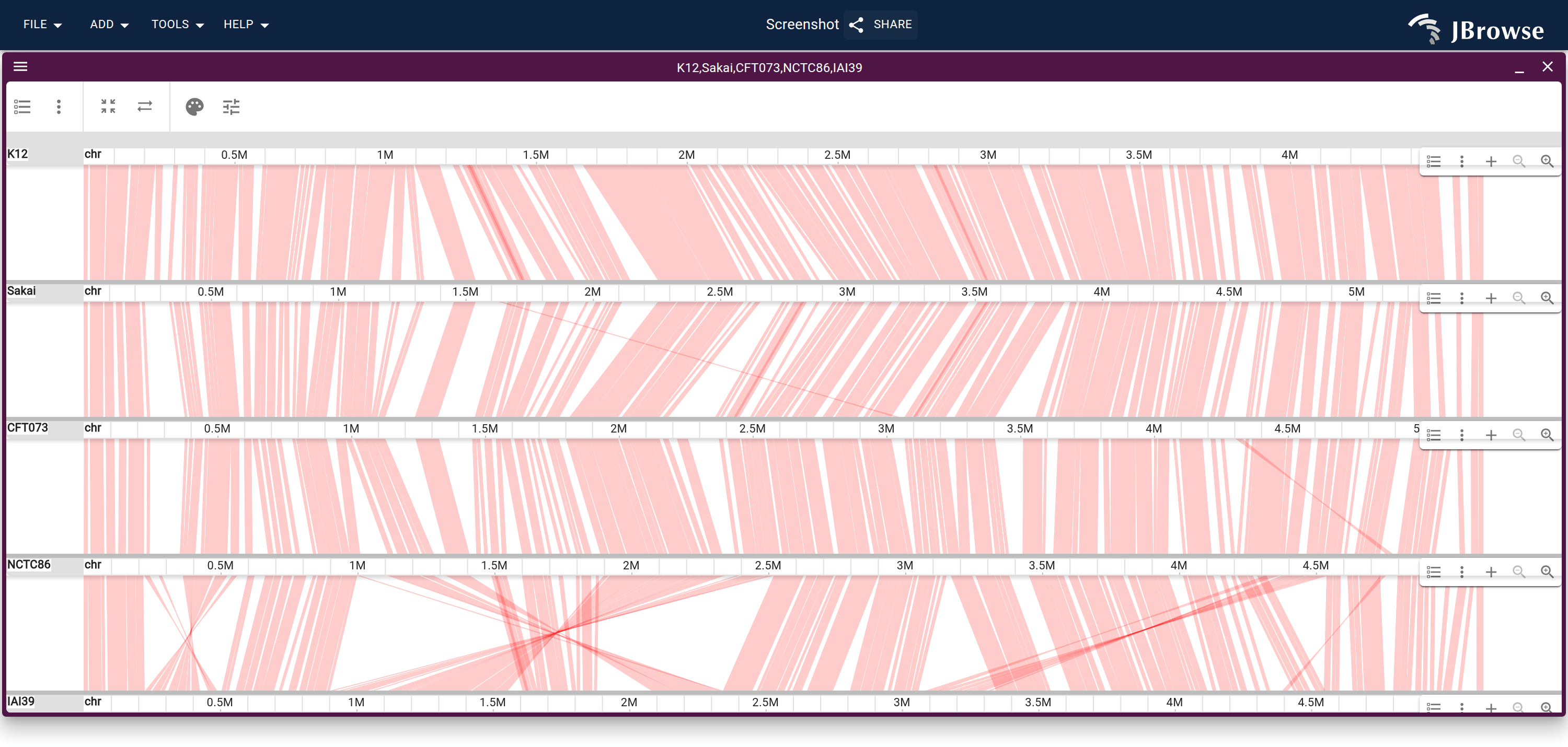 Five E. coli strains stacked from one minimap2 all-vs-all PAF, short alignments hidden with minAlignmentLength. The continuous ribbons are the backbone shared by all five; the bottom band crosses because IAI39 is inverted against the others.
