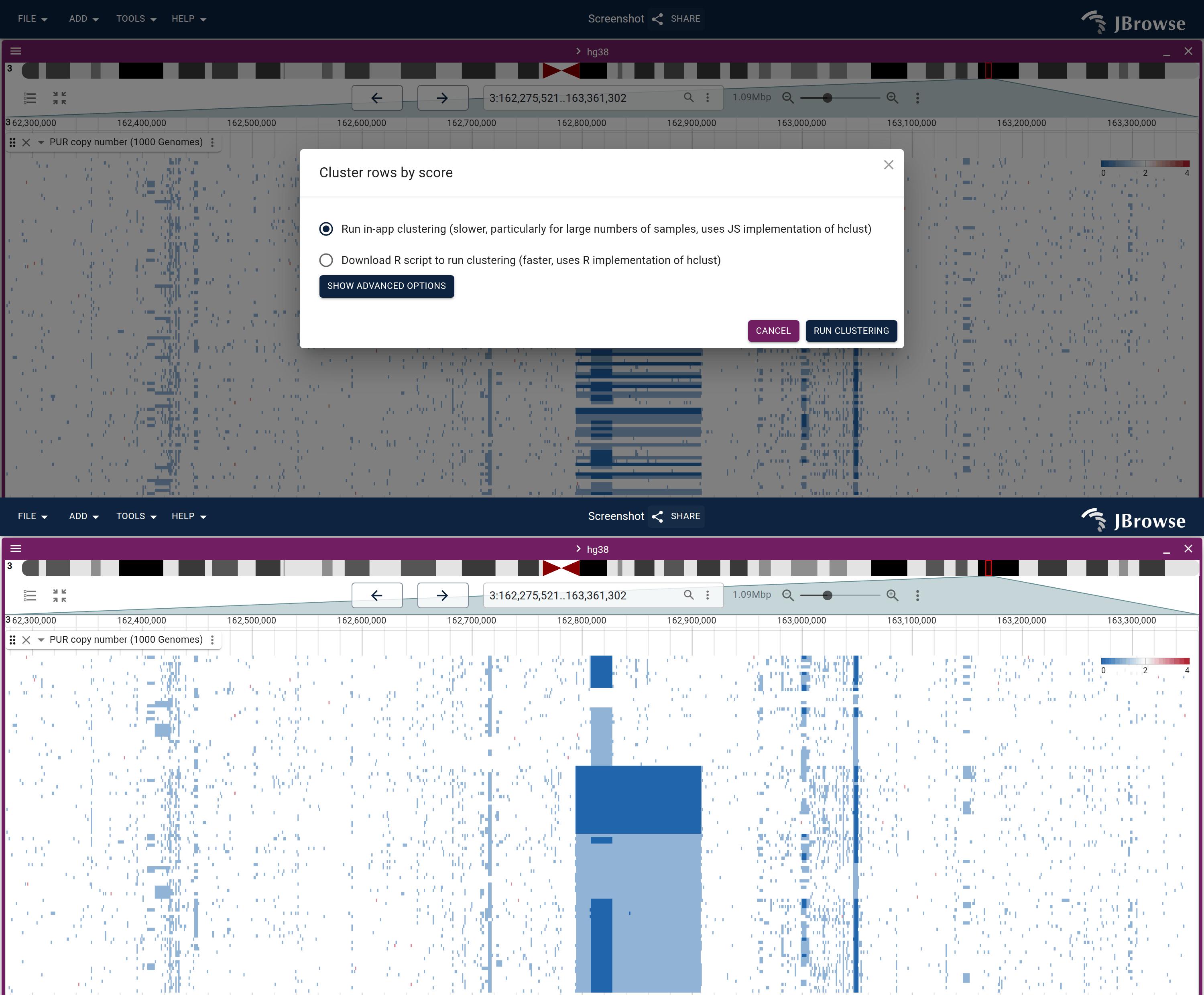 Clustering a multi-quantitative track. Top: the 'Cluster rows by score' dialog with its auto/manual mode options. Bottom: after clustering, rows are reordered by signal similarity.
