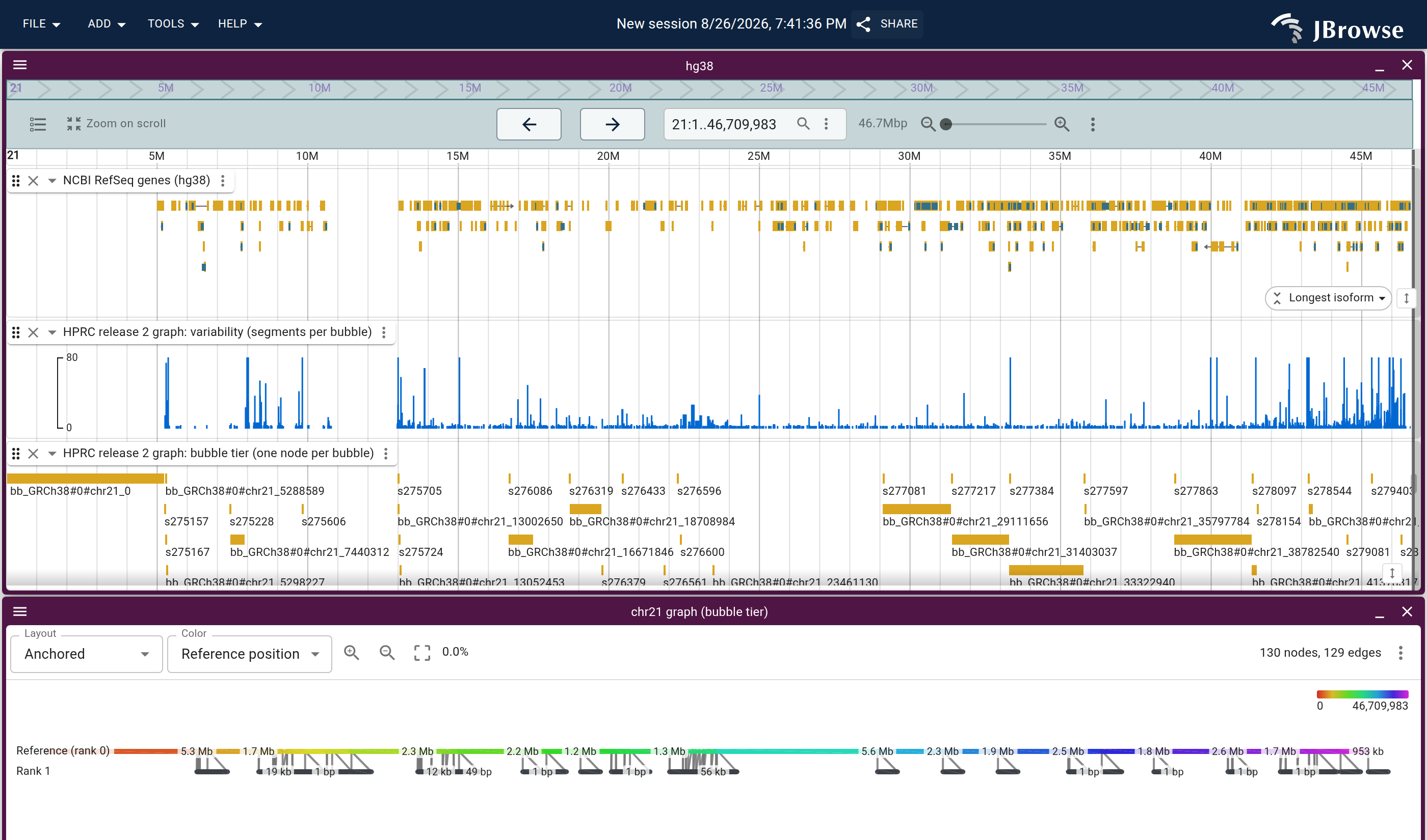 chr21 whole, off the bubble tier: RefSeq genes, the variability curve and the tier lane above, and the tier as a graph below in the anchored layout, so the reference backbone runs under the same axis with each bubble's alternative hanging beneath it. 130 nodes for 46.7 Mb.