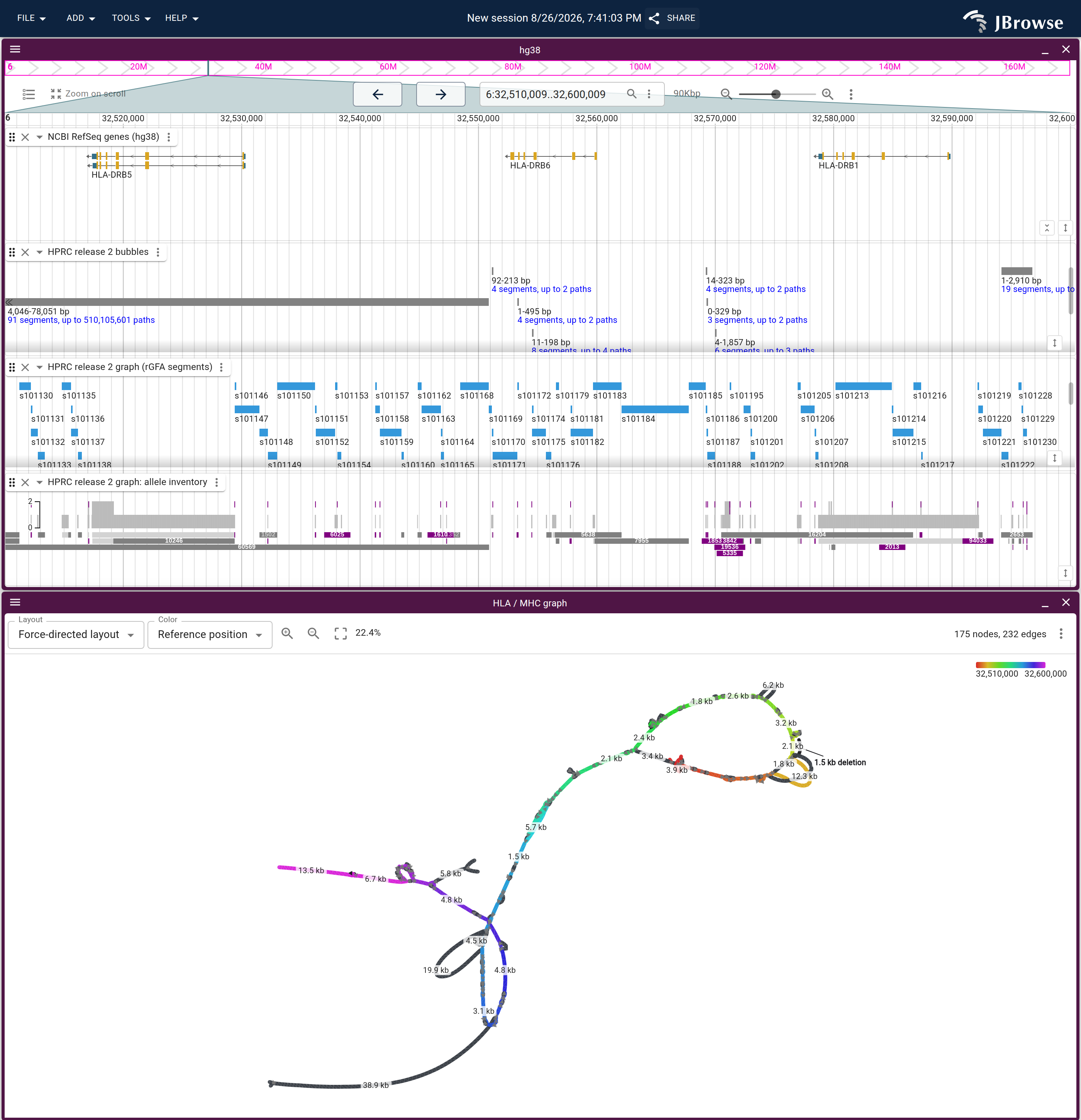 The MHC class II window drawn from the page: RefSeq genes, bubbles, rank-colored segments and the allele inventory above, and the same window as a force-directed graph below, on the reference-position ramp.